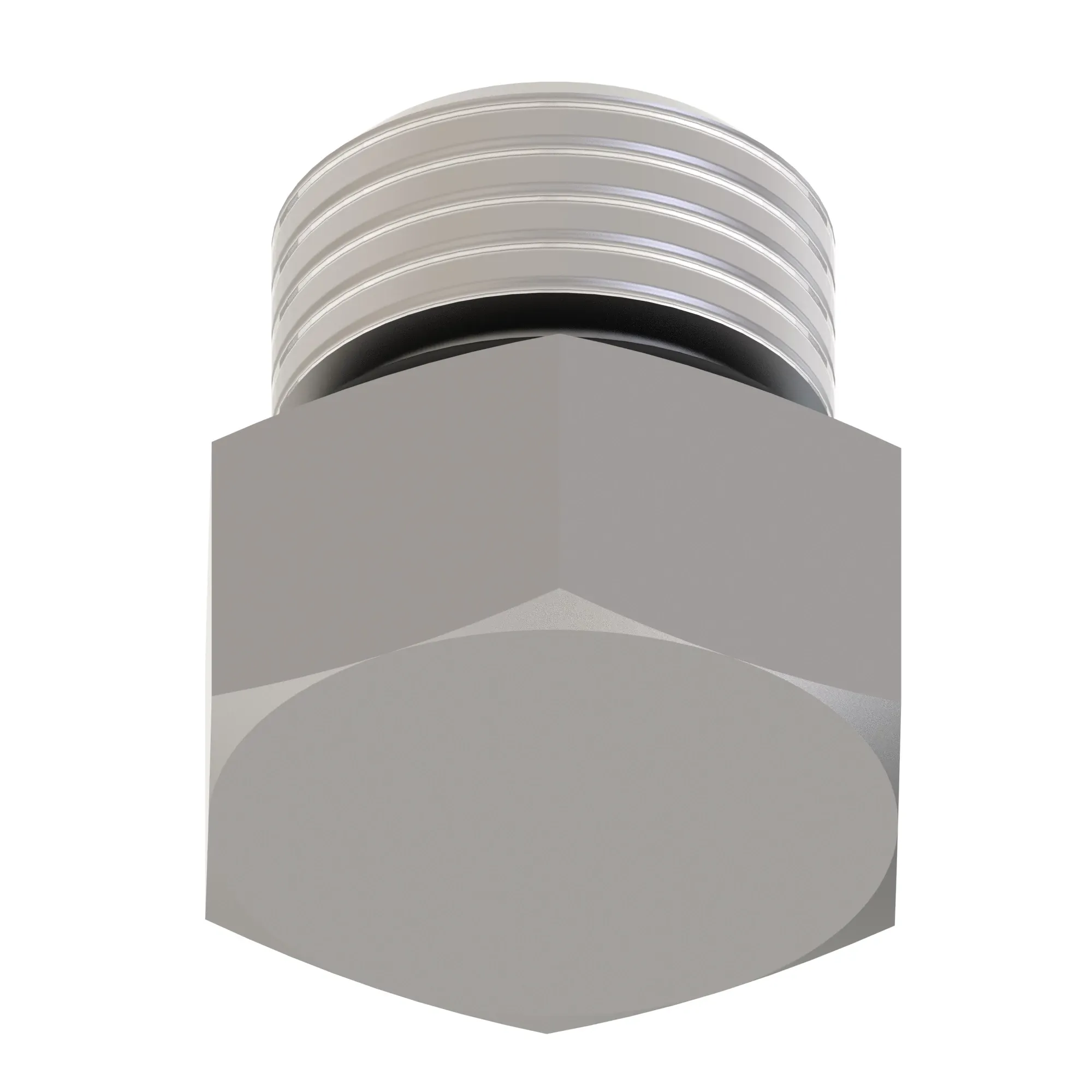 Fitting Plug