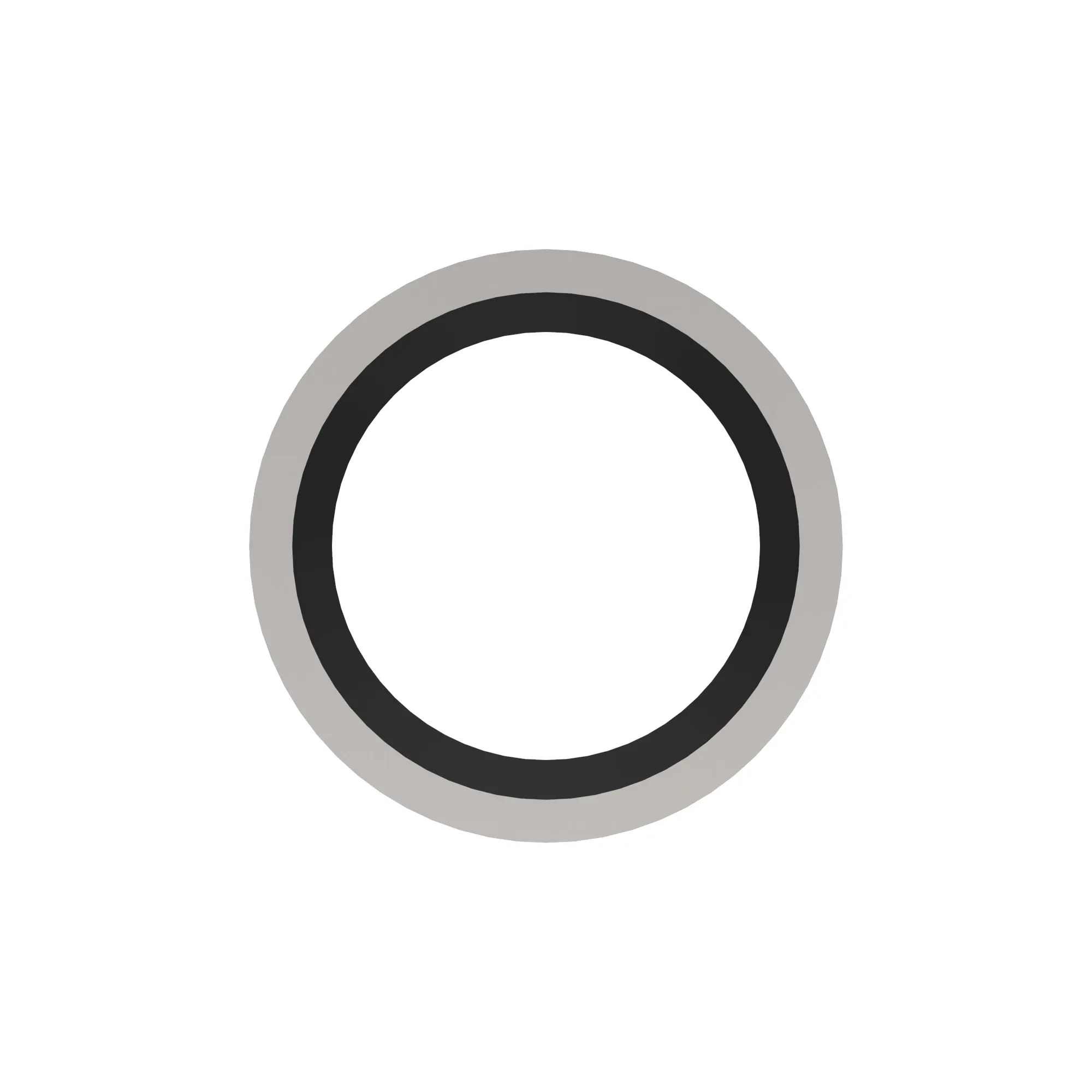 Sealing Washer