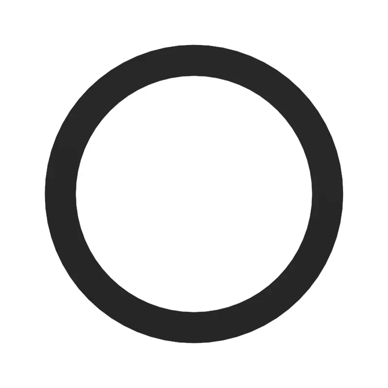 Thrust Washer