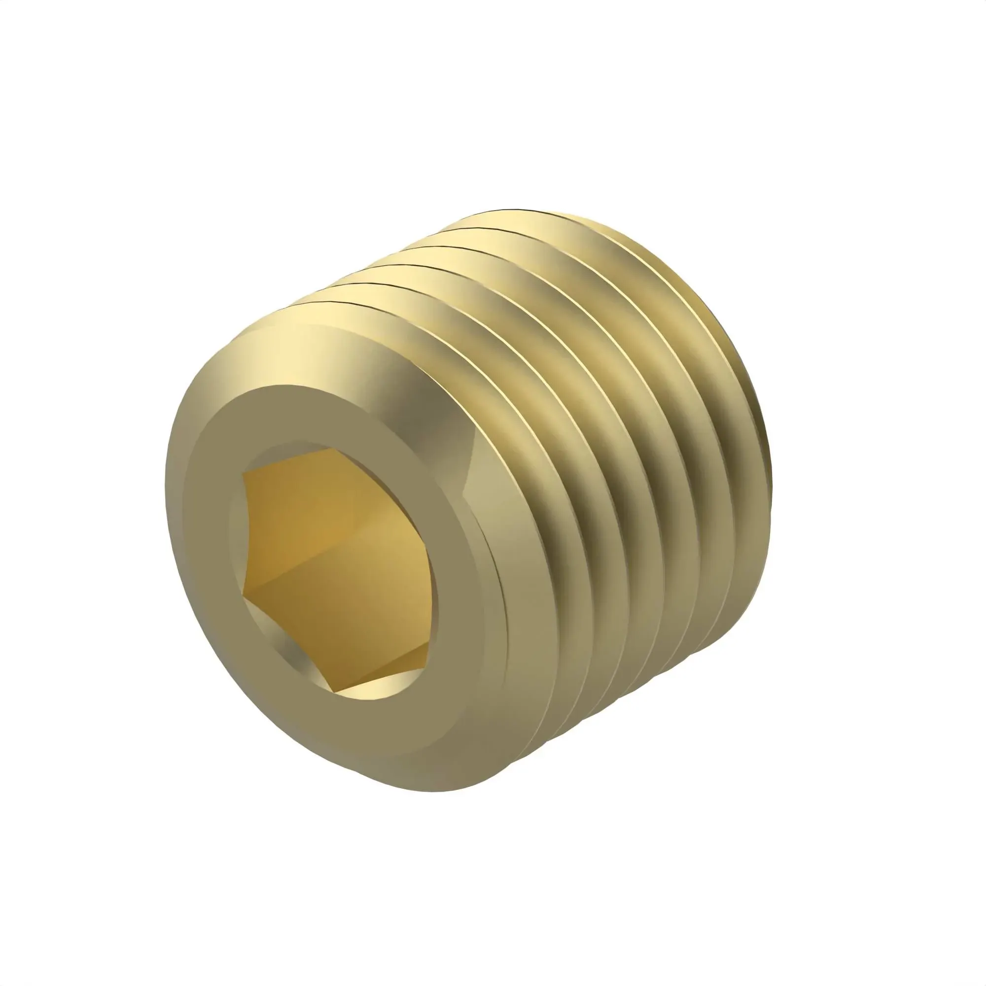 Pipe Plug