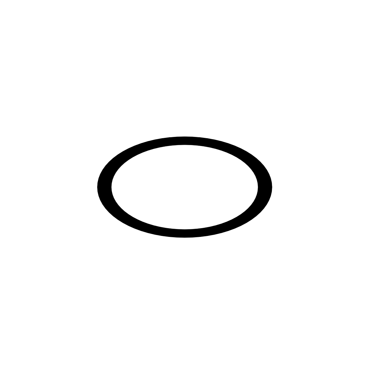 O-Ring