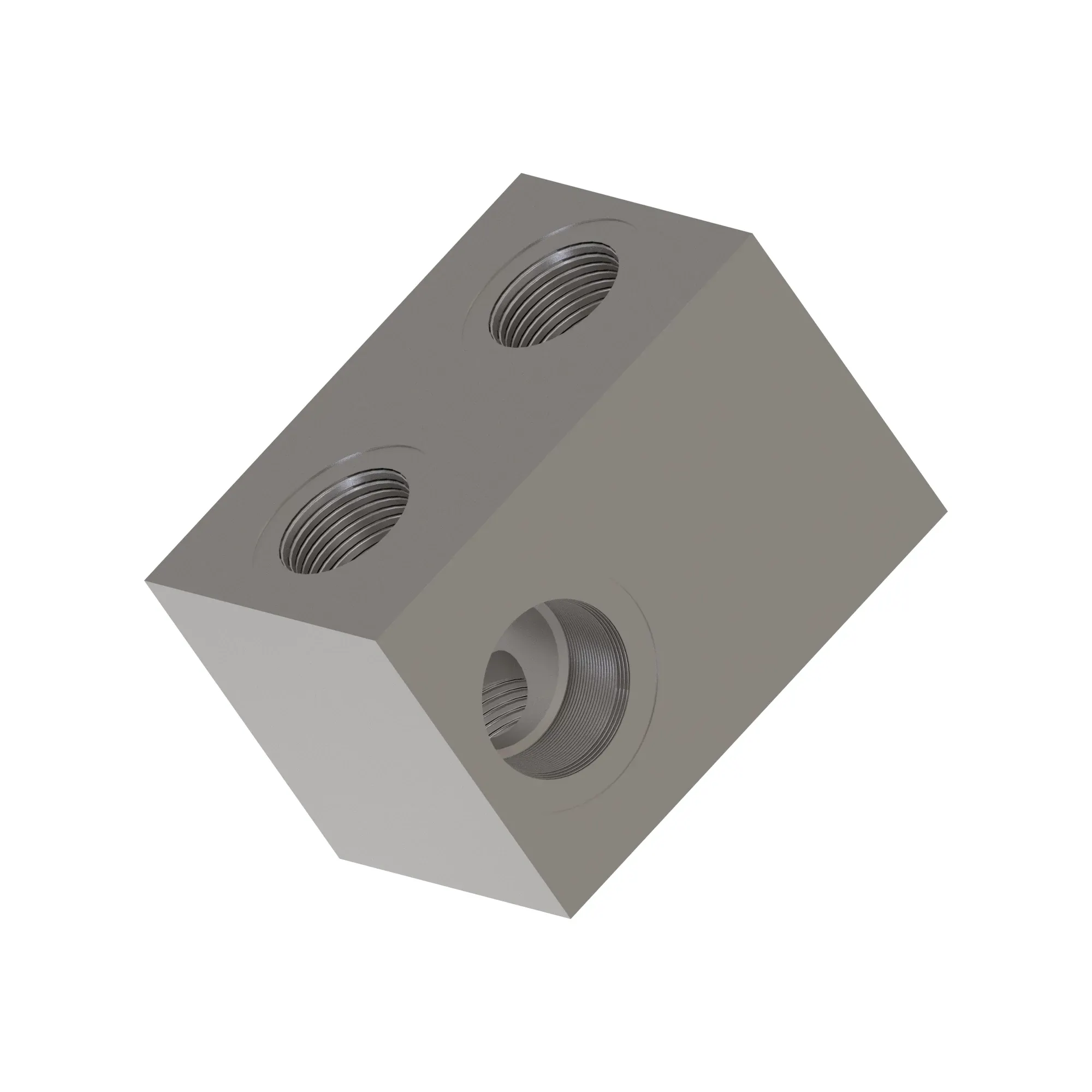Manifold