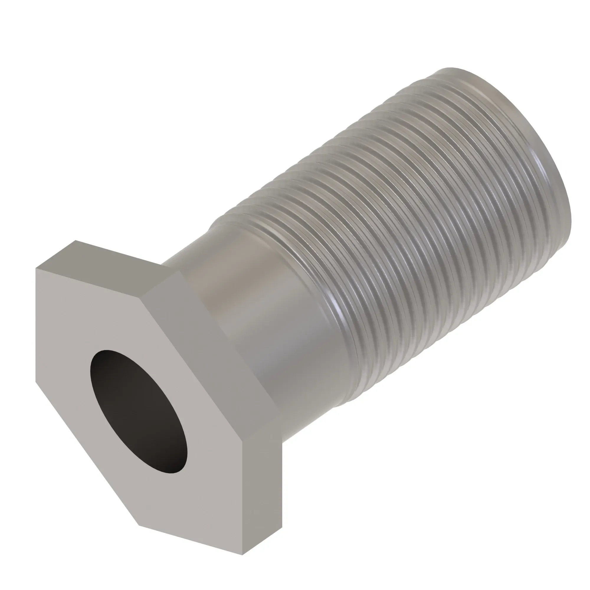 Hollow Screw