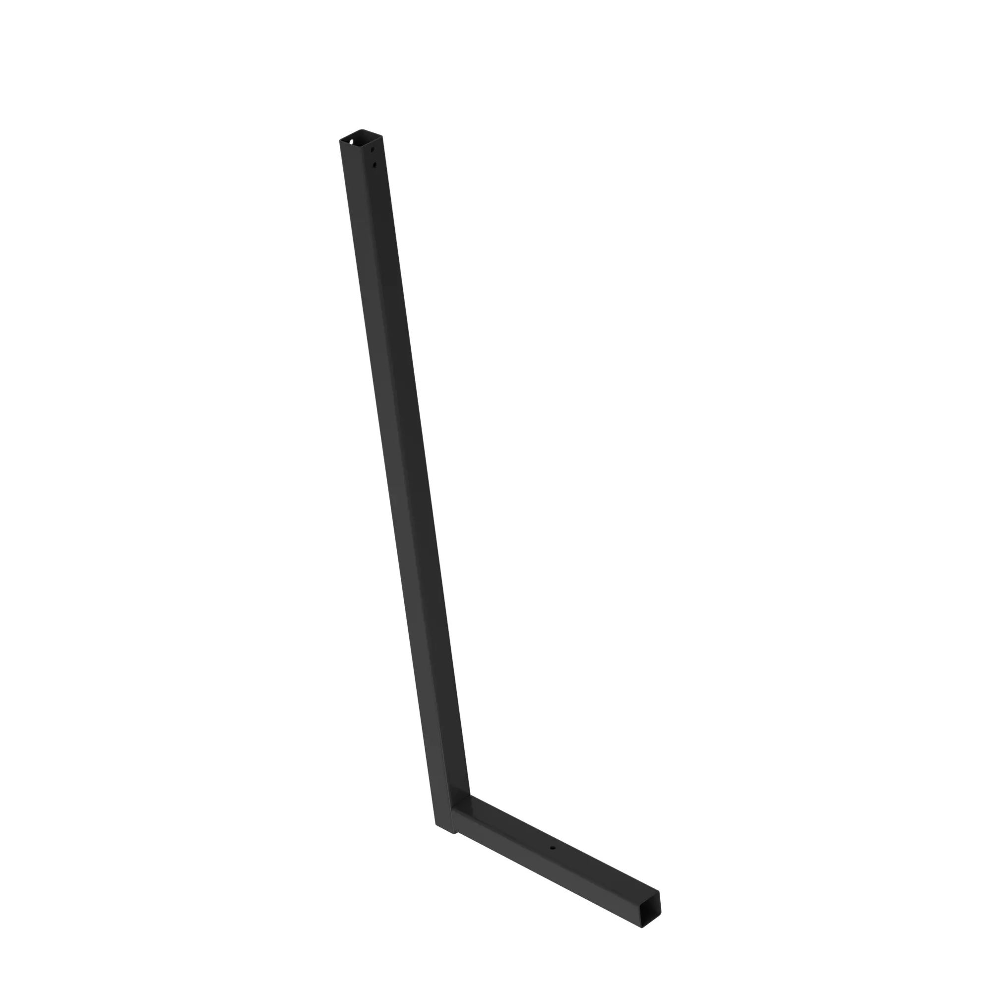 Leg
