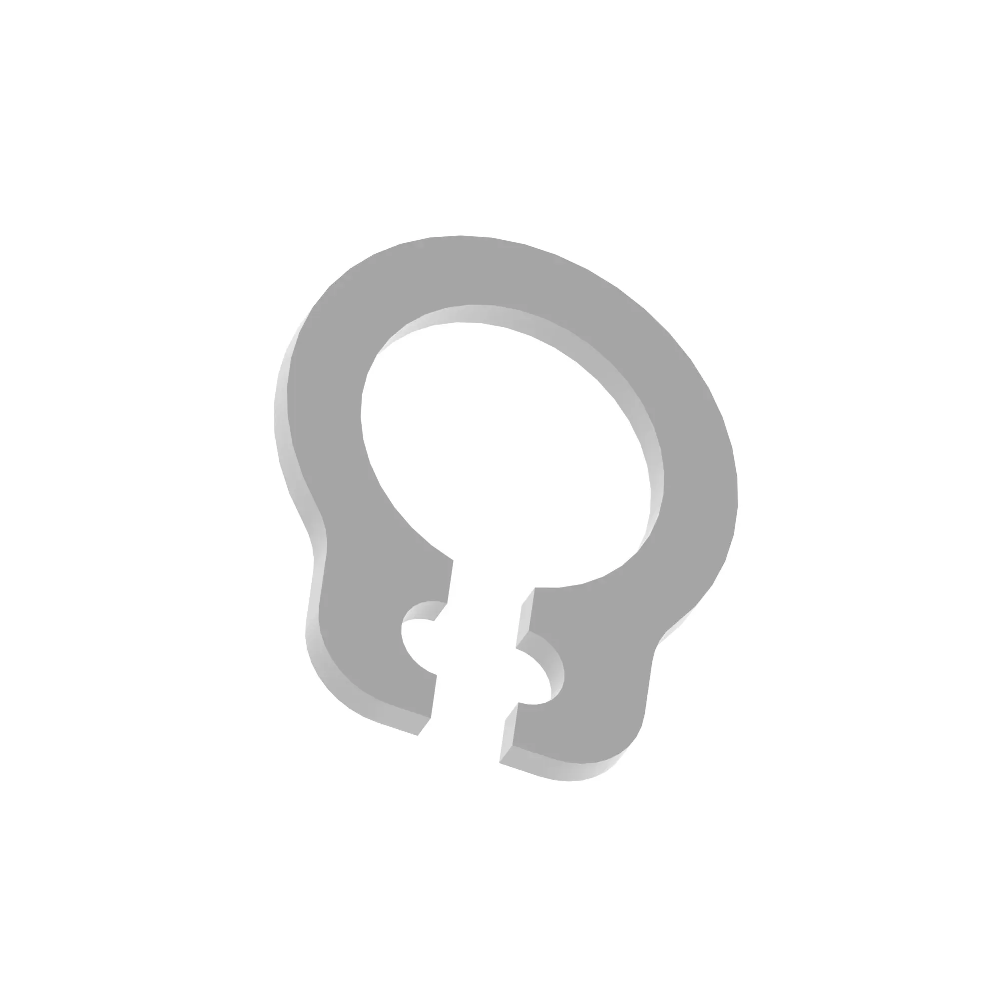 Snap Ring