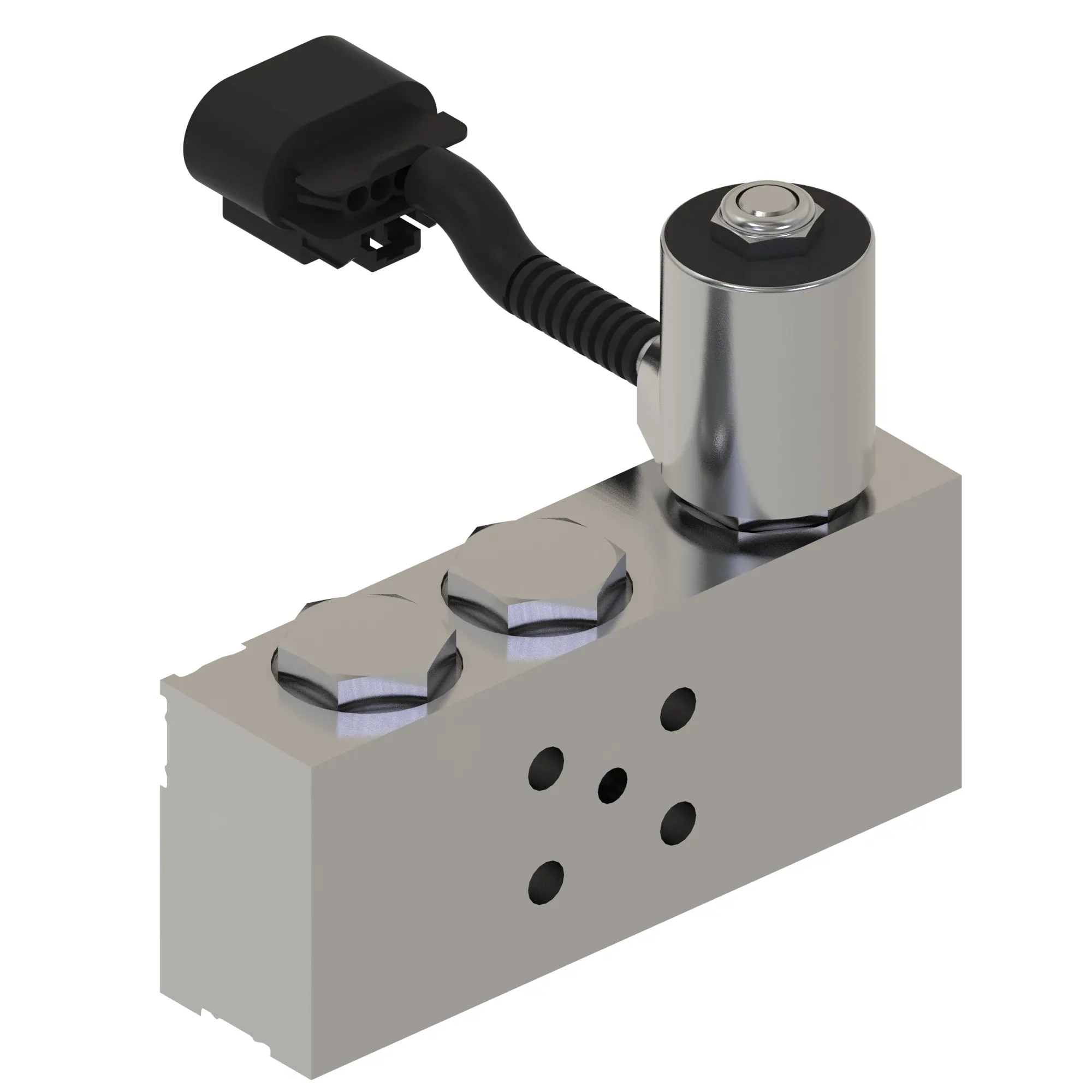 Manifold