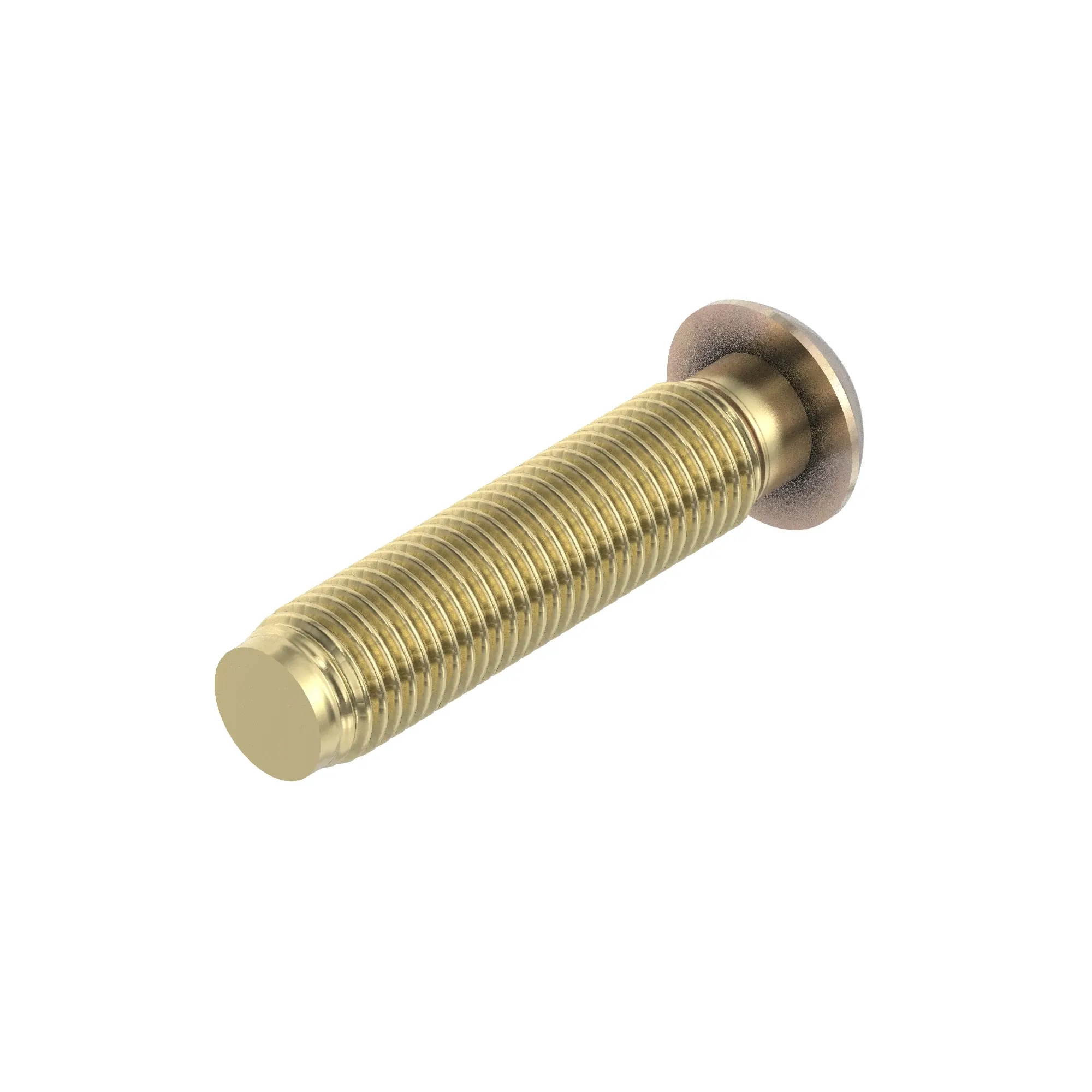 Screw