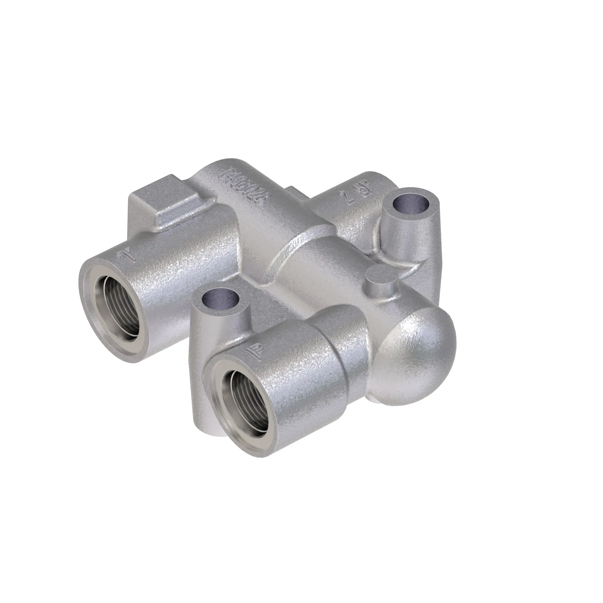 Manifold