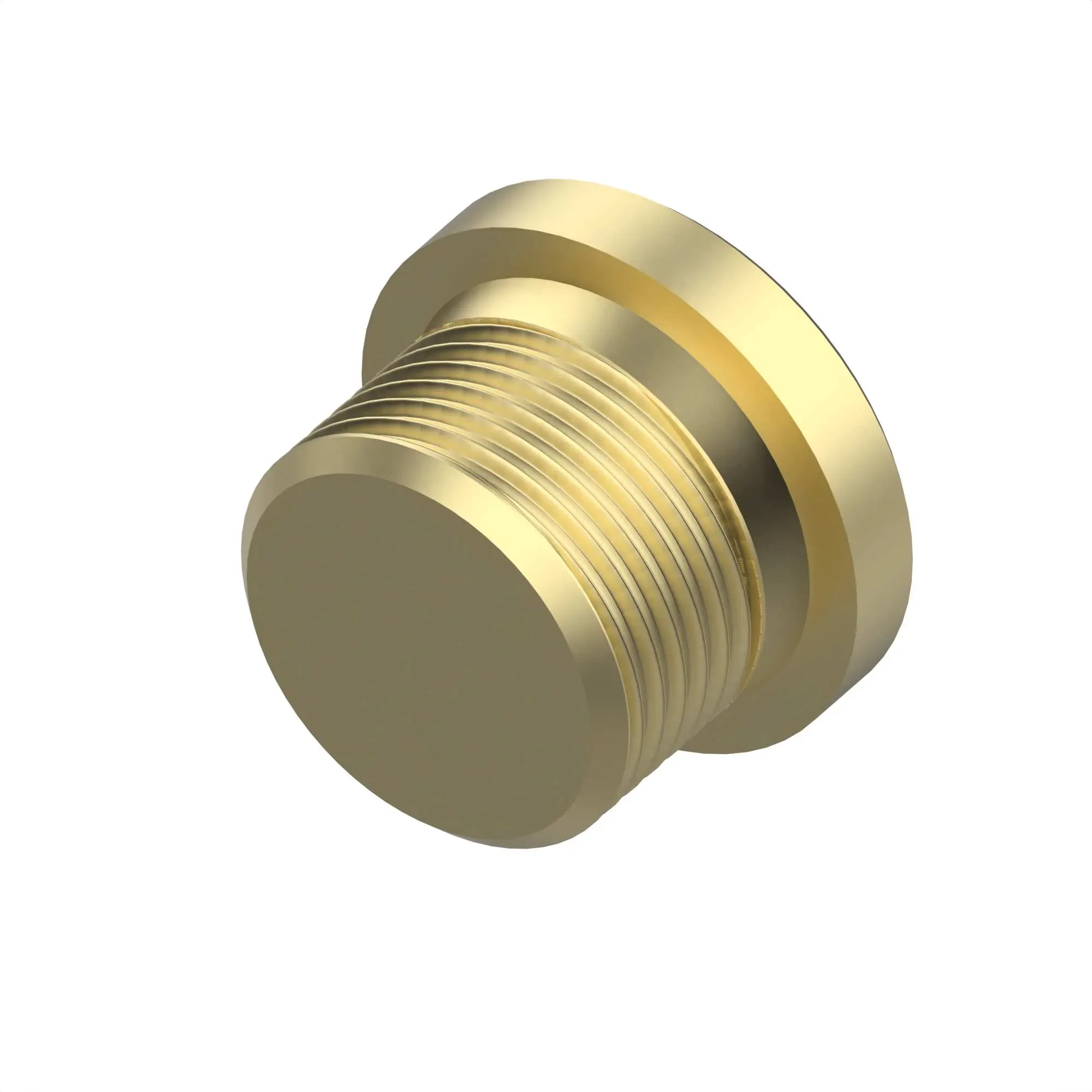 Drain Plug