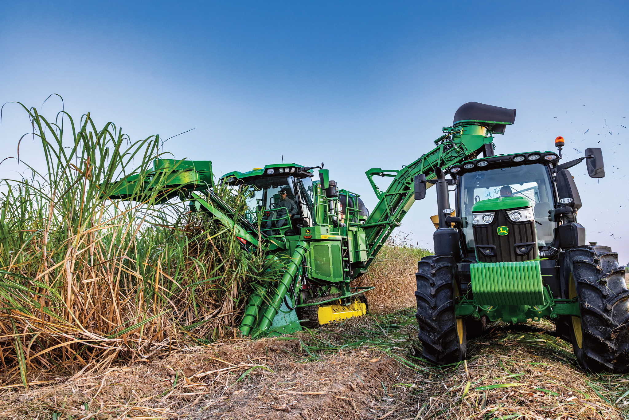 Green agricultural harvester cutting tall sugarcane beside a green tractor in a field, with chopped cane on the ground and a clear blue sky in the background
