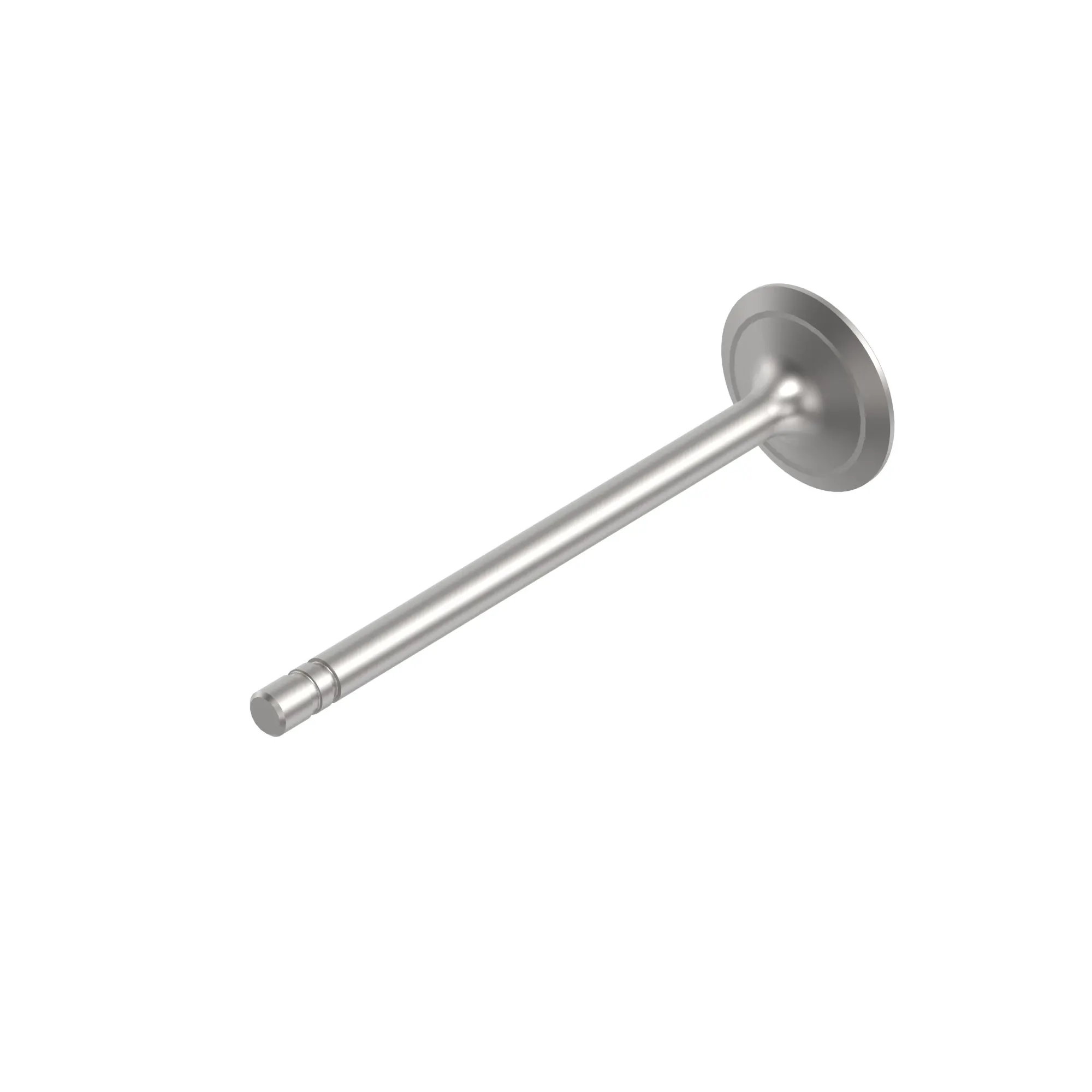 Intake Valve