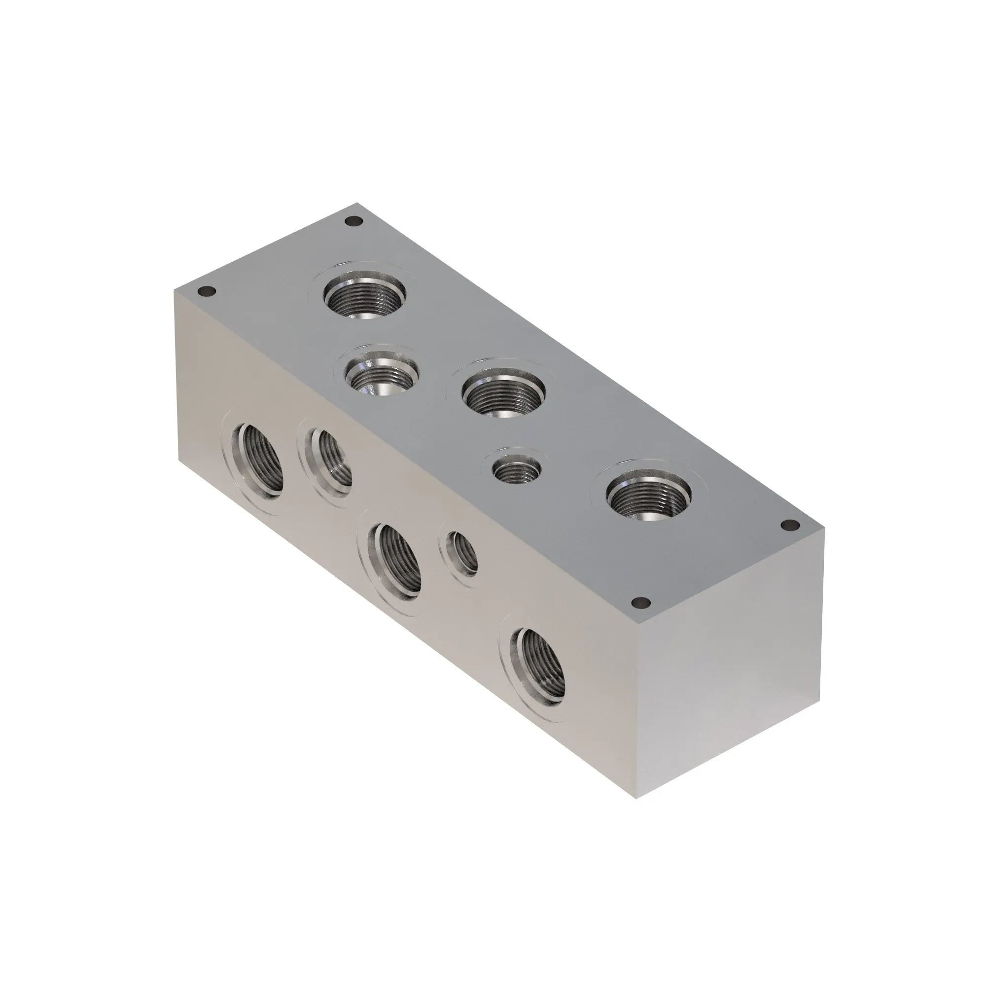 Manifold