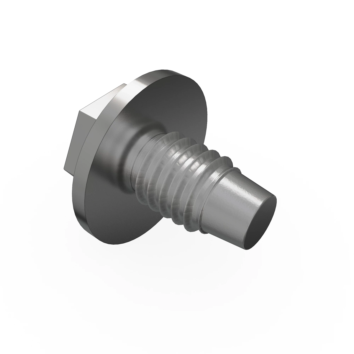 Screw With Washer