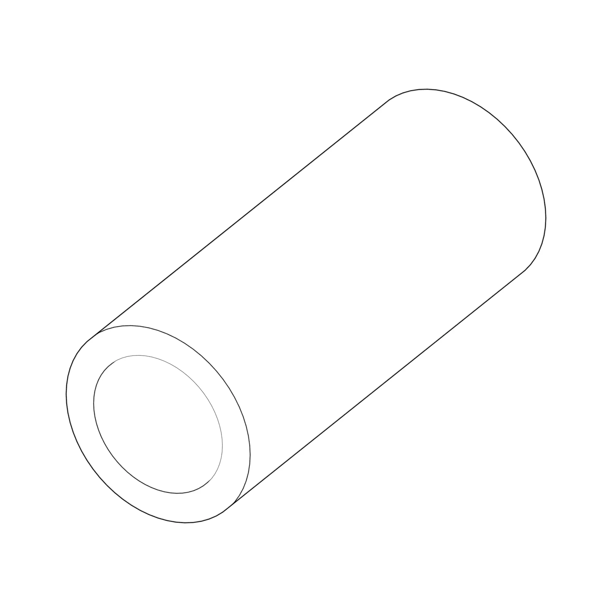 Check Valve