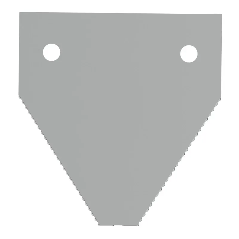 Section