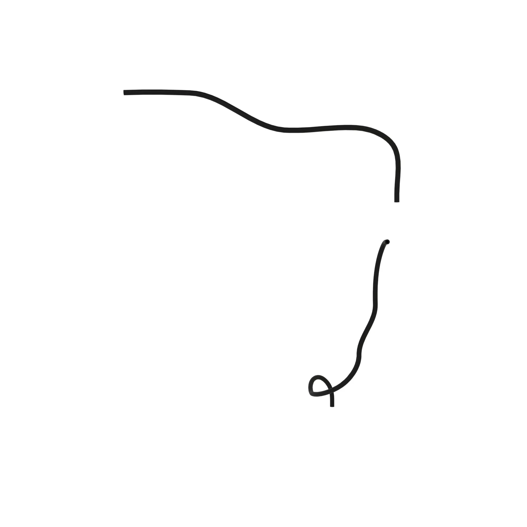 hose