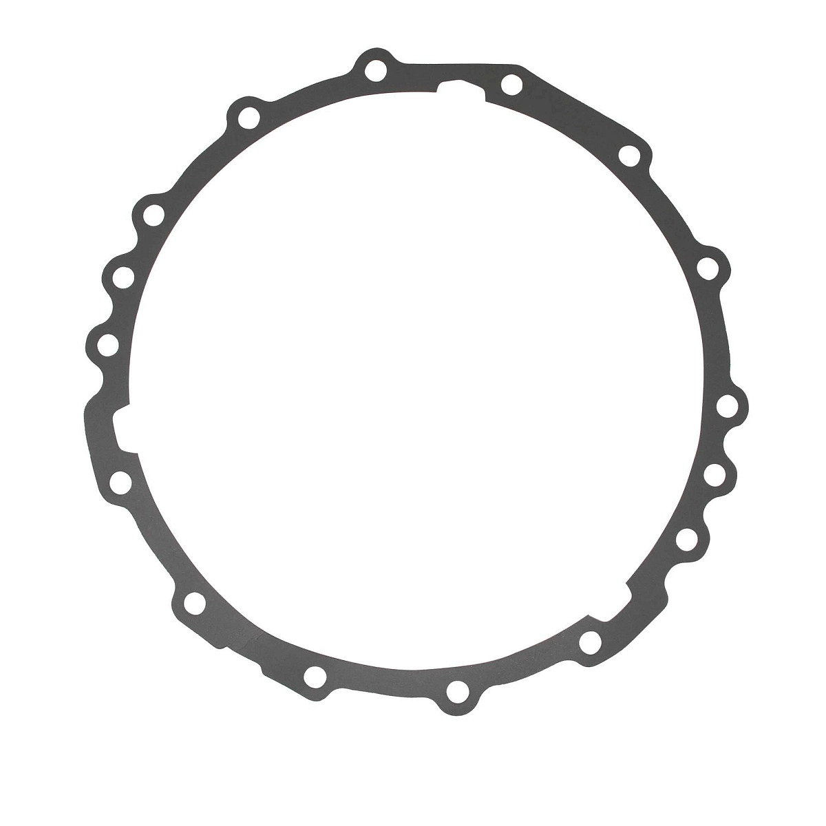 Gasket, Rear Axle Housing