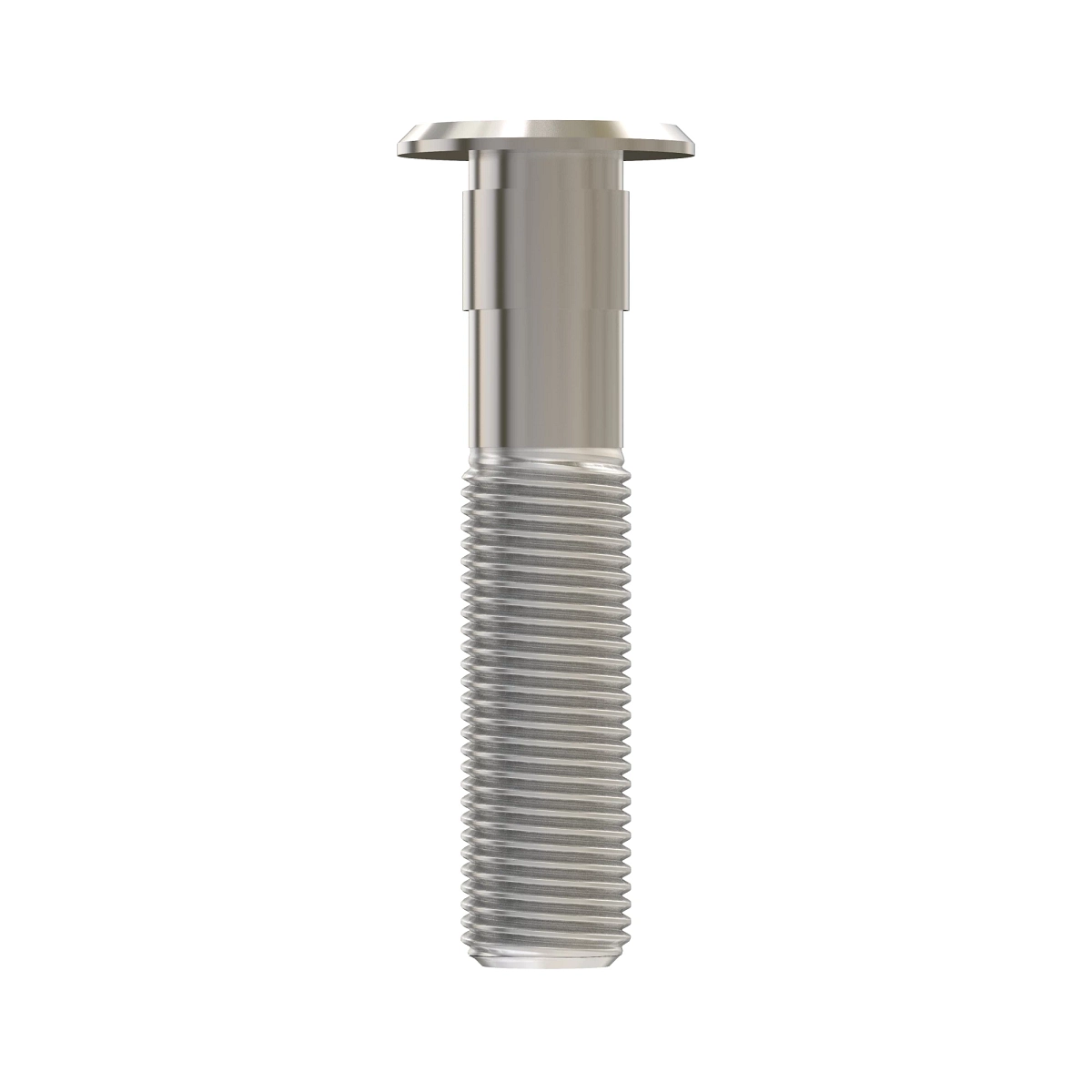 Wheel Bolt