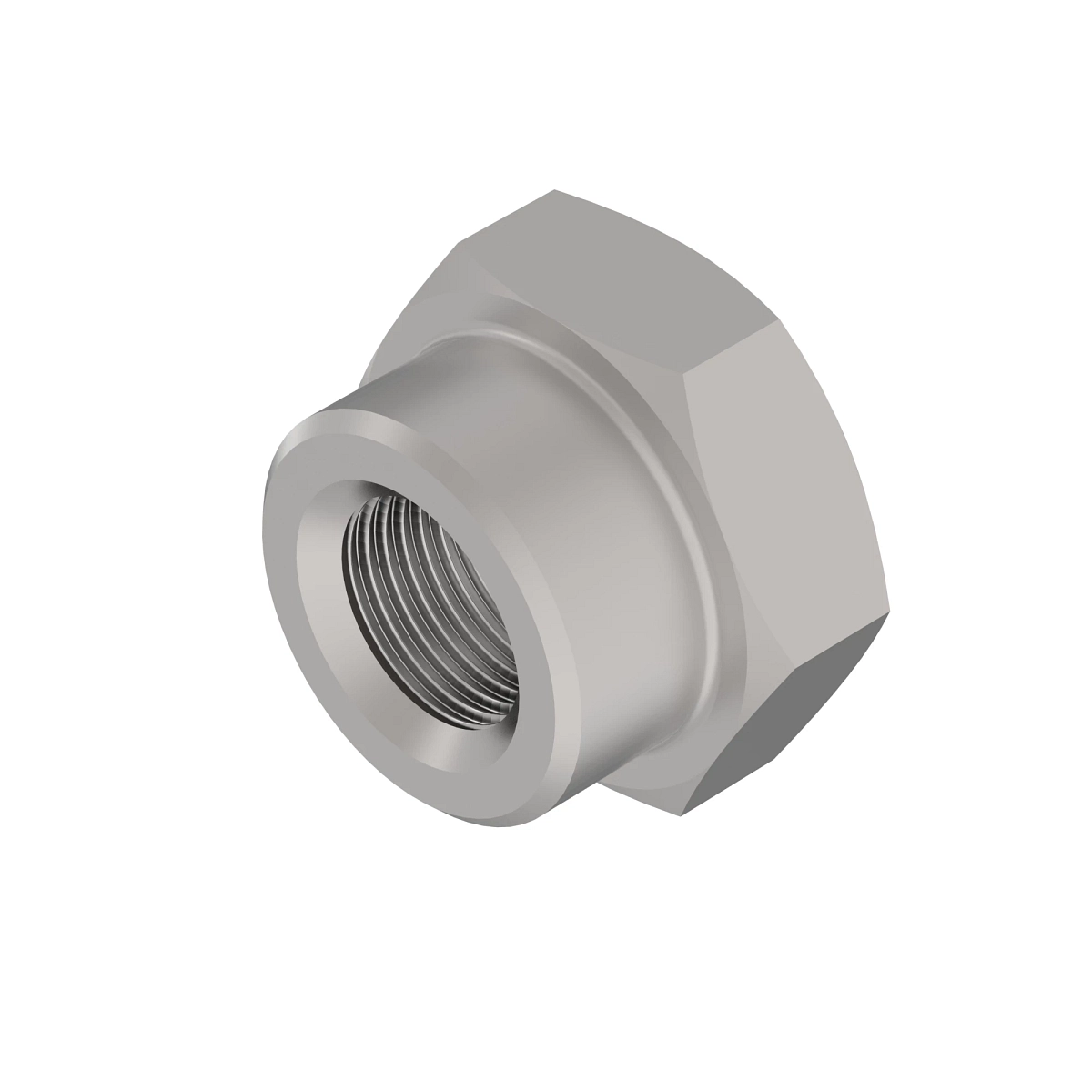 Bushing, Tensioner Cylinder Idler