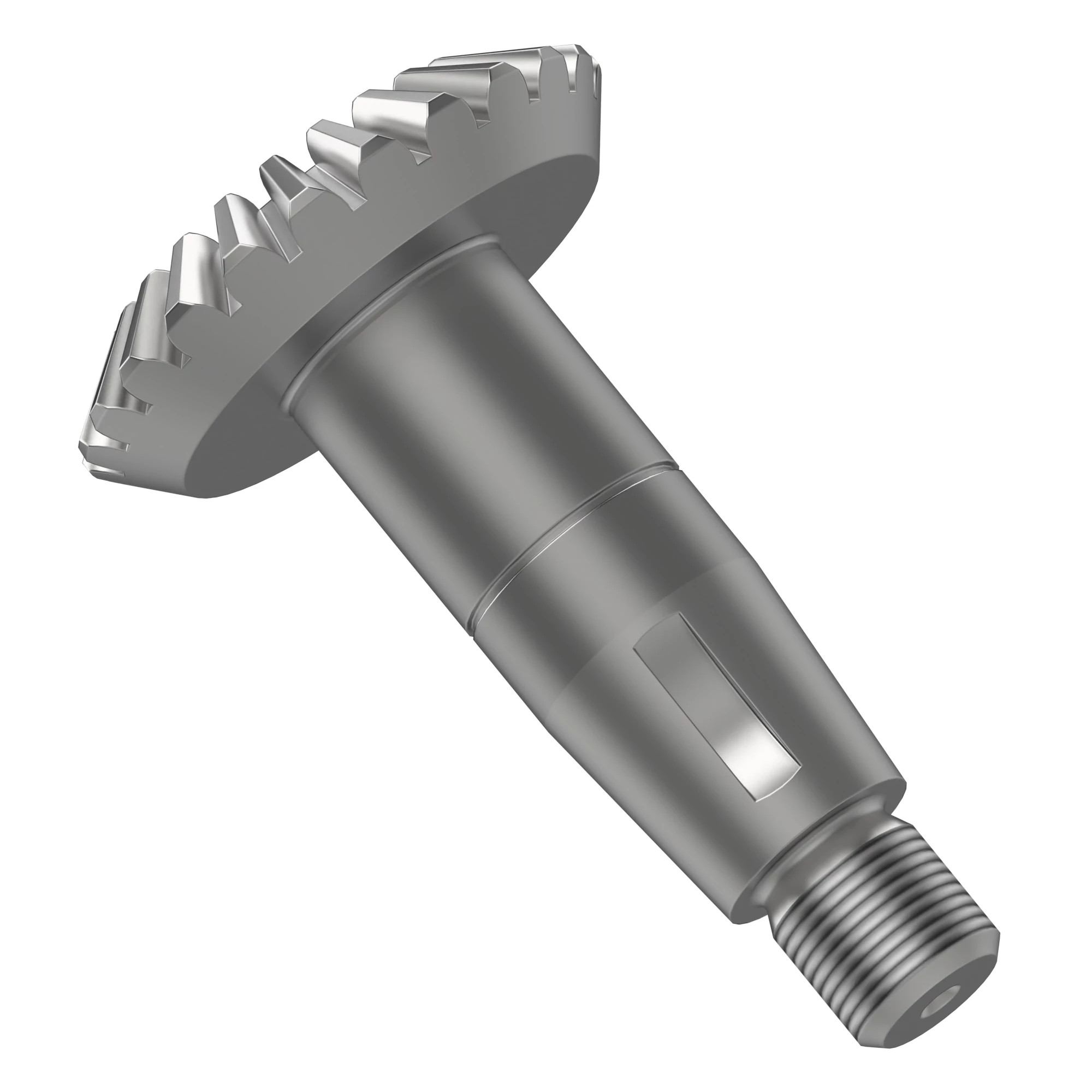 Bevel Gear