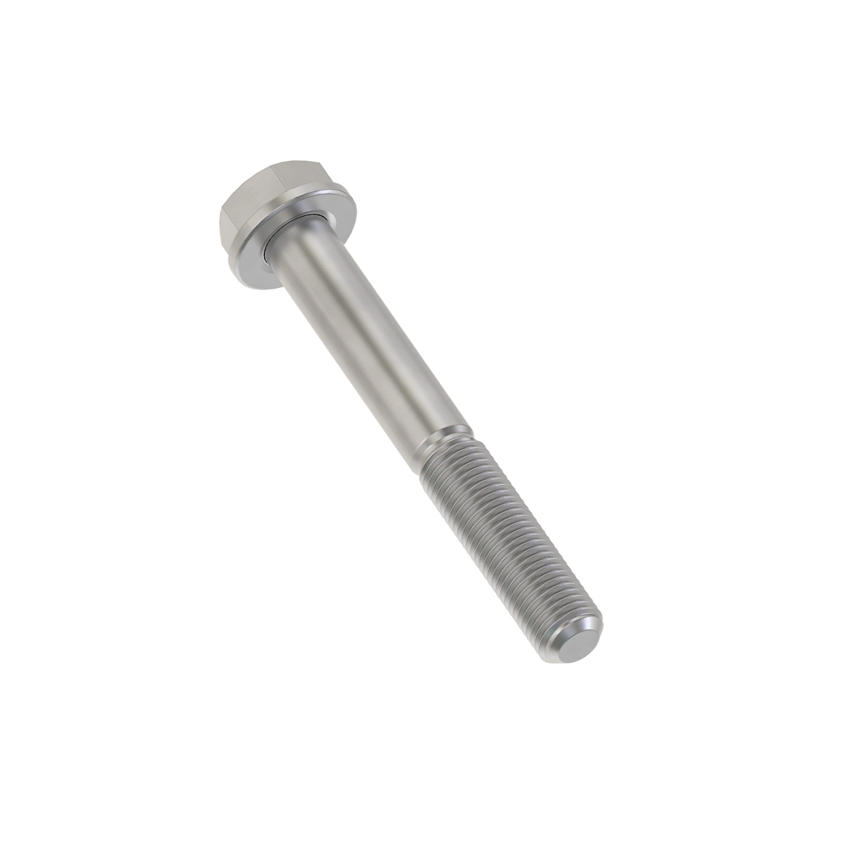 Bolt-Flanged 6X60