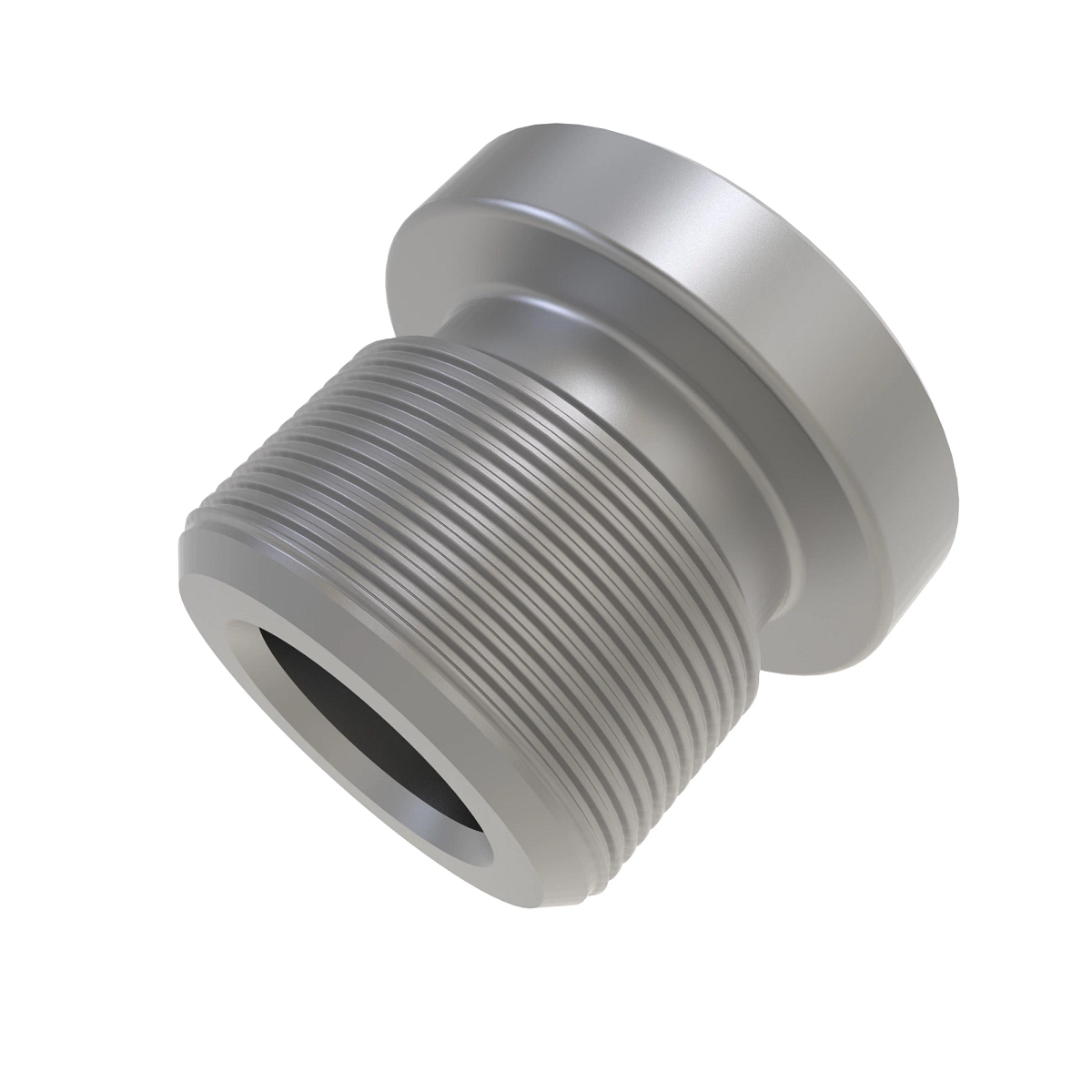 Fitting Plug