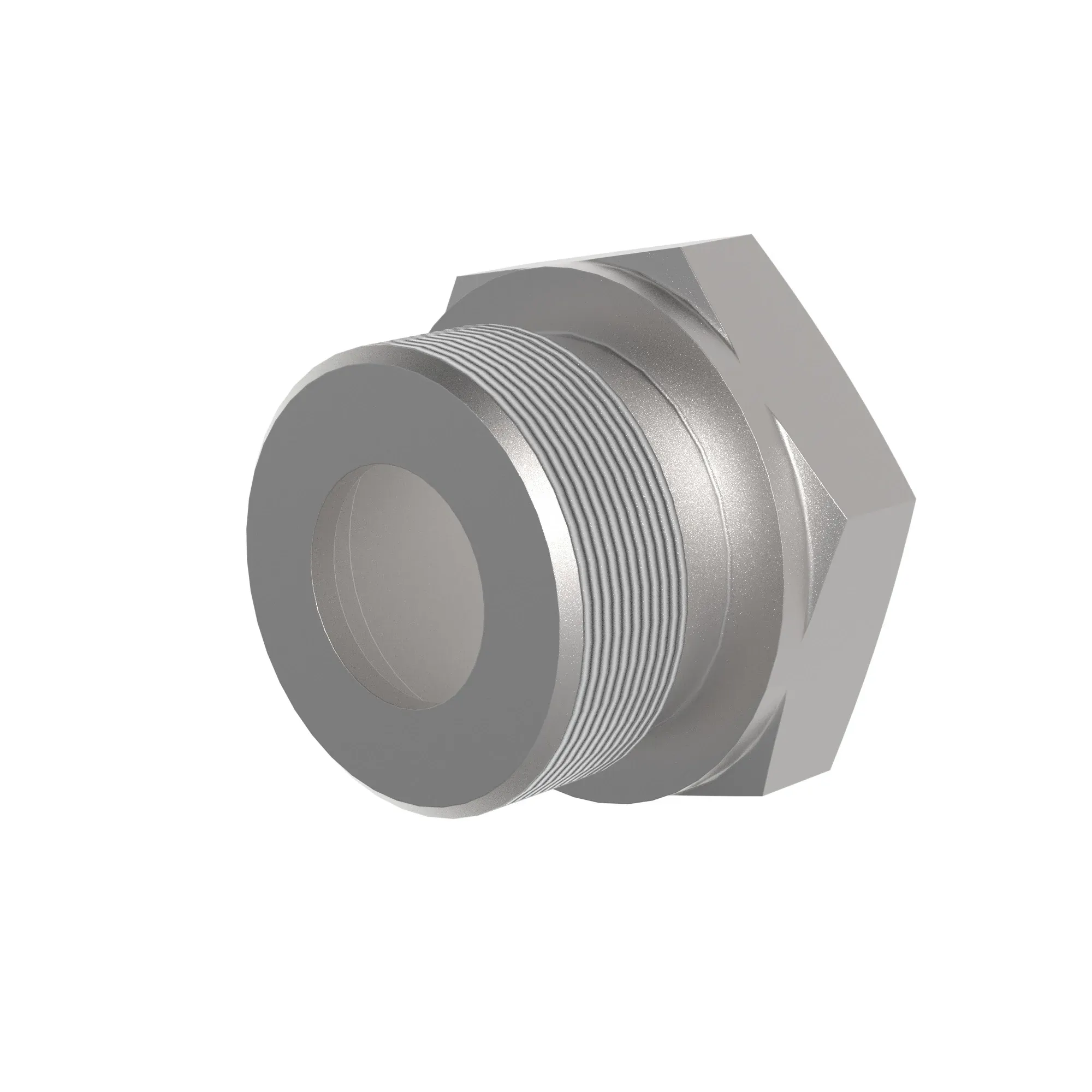 Fitting Plug