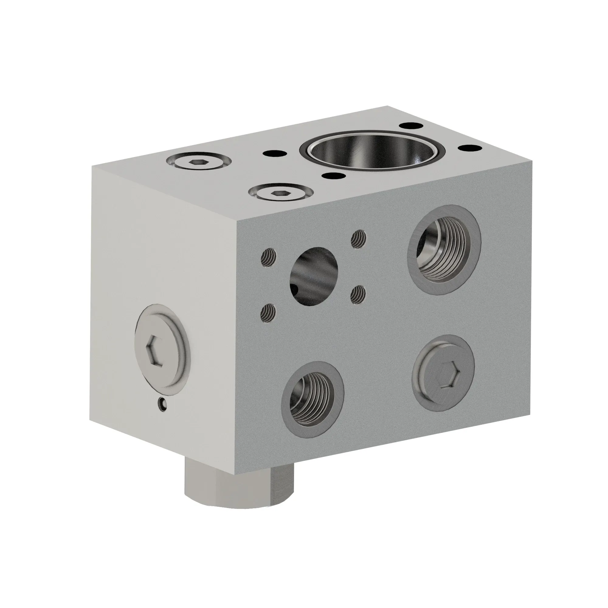 Manifold