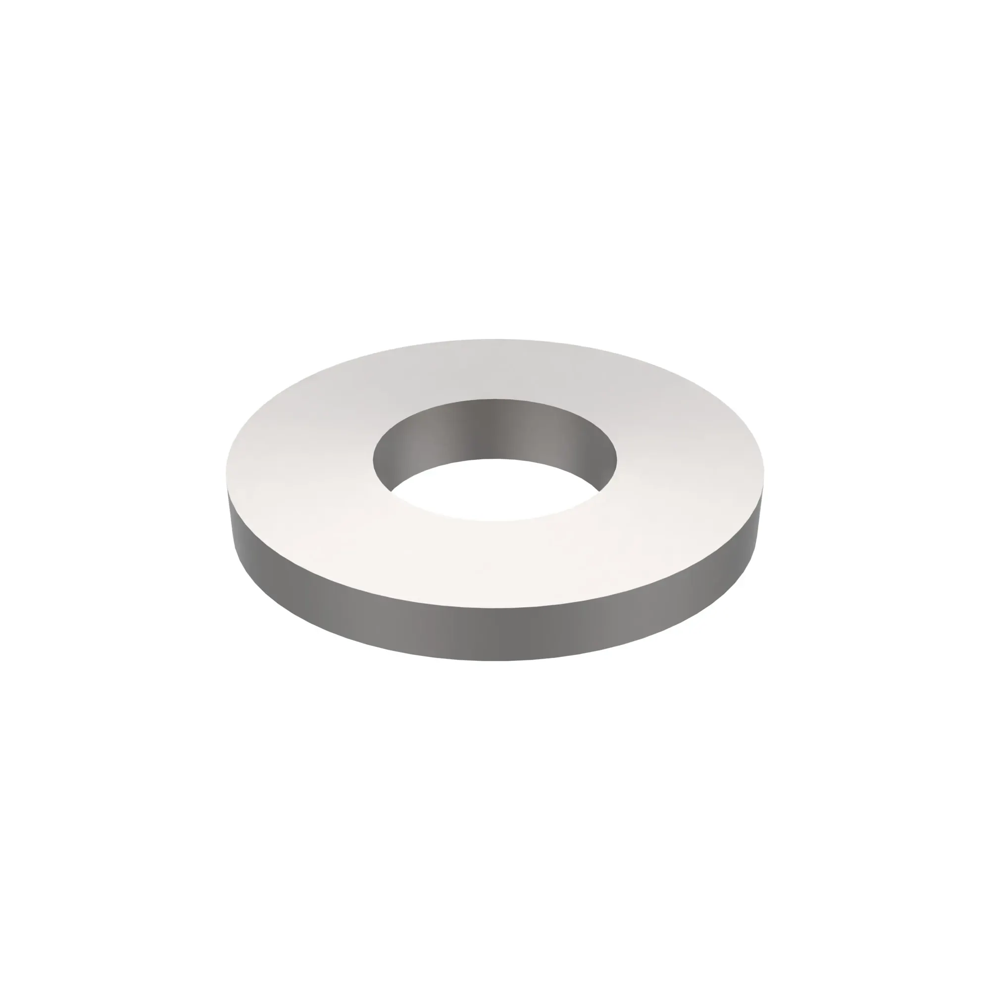 WASHER - STRIKER BOLT