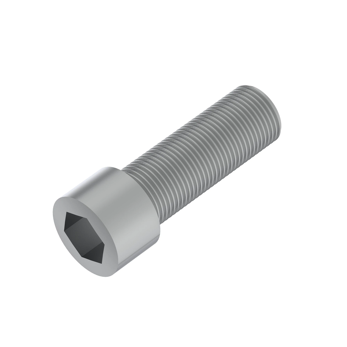 Screw, Hex Socket Head, Metric