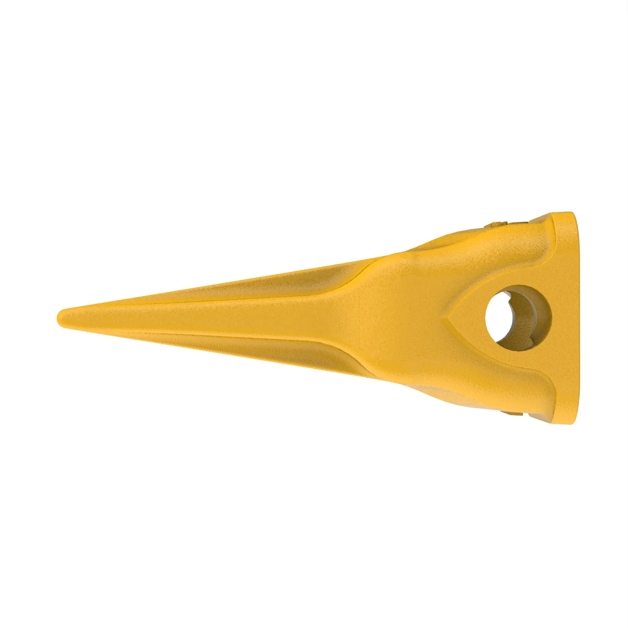 Tiger Tooth