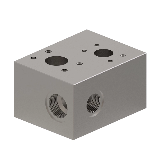 Manifold
