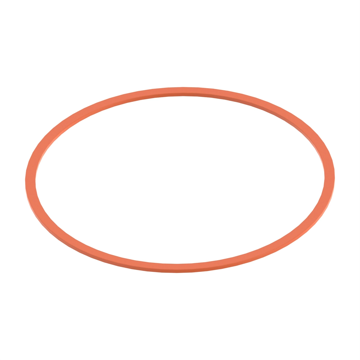 Back-Up Ring