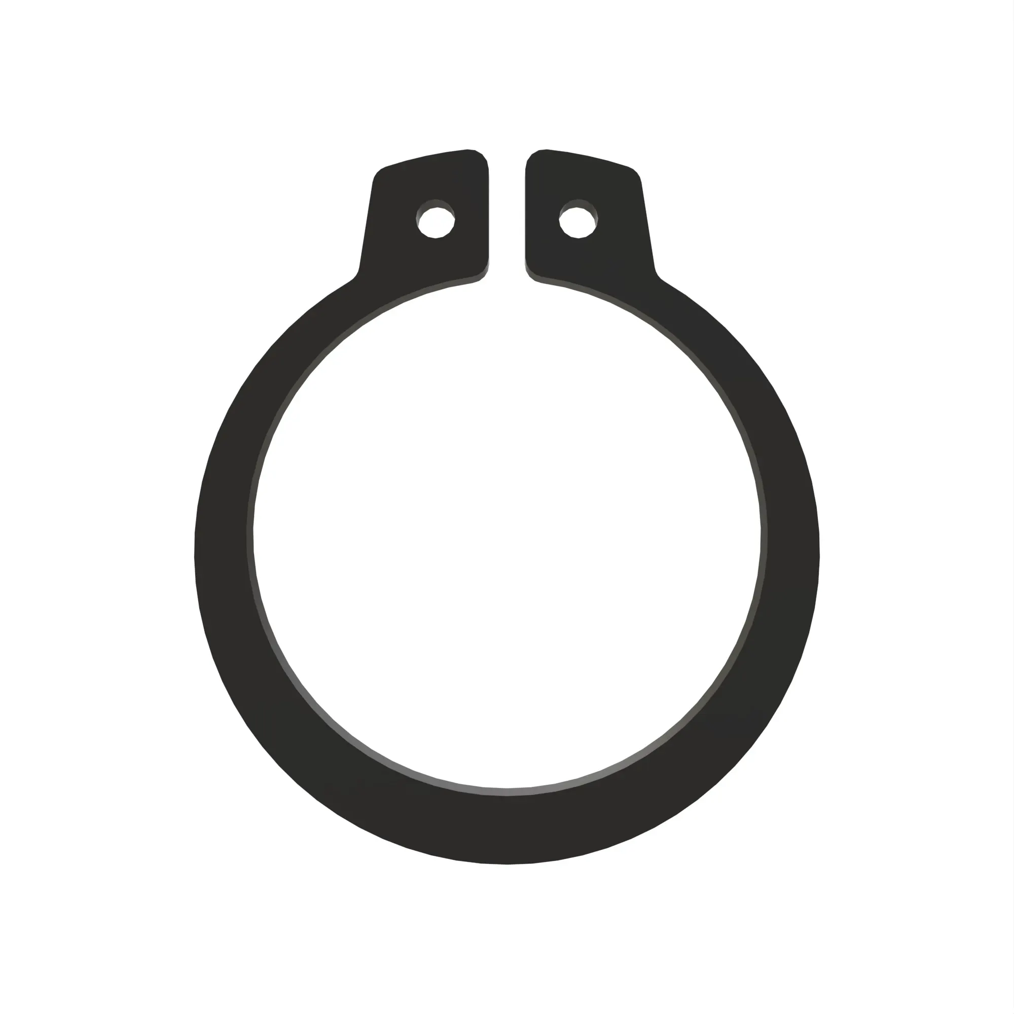 Snap Ring