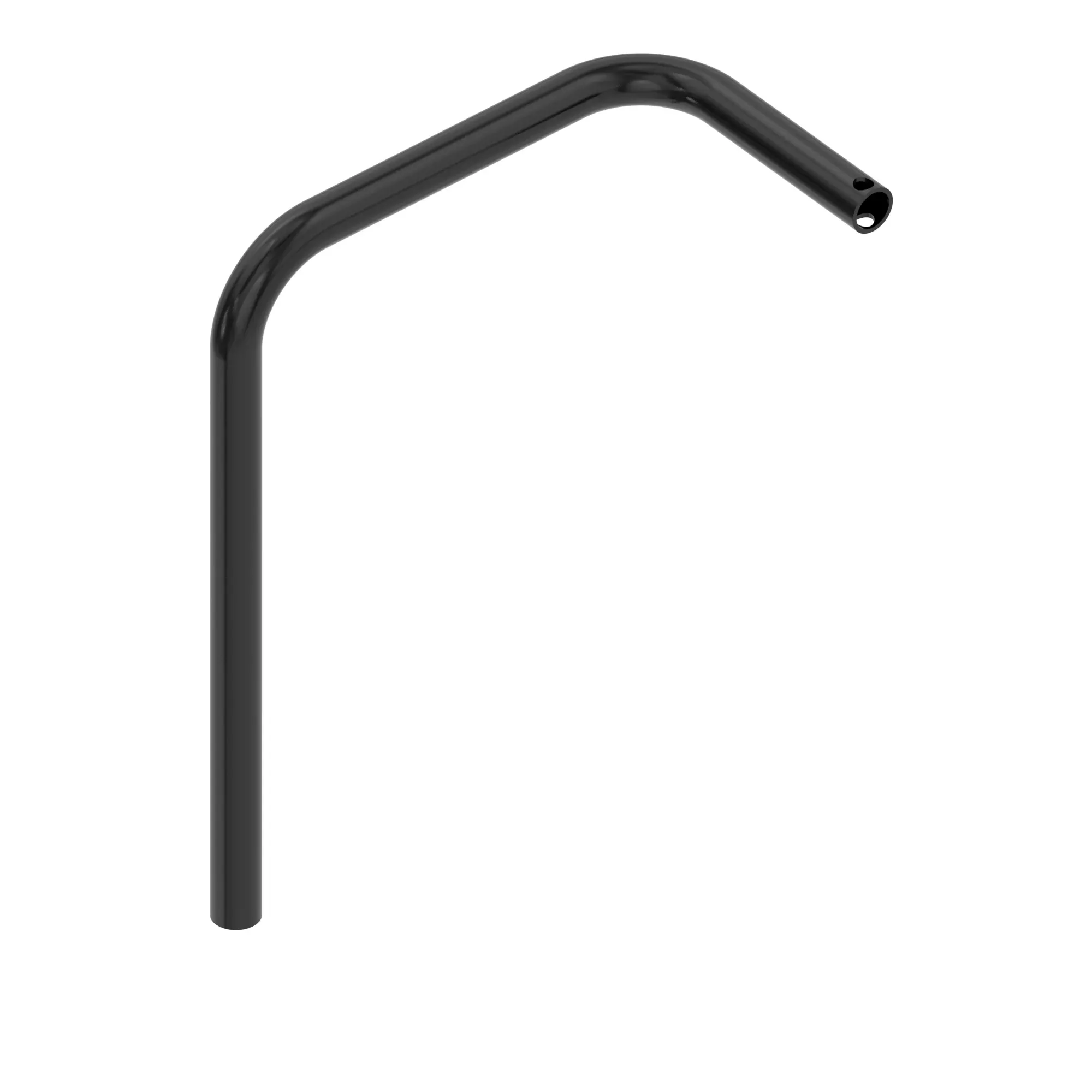 Rib