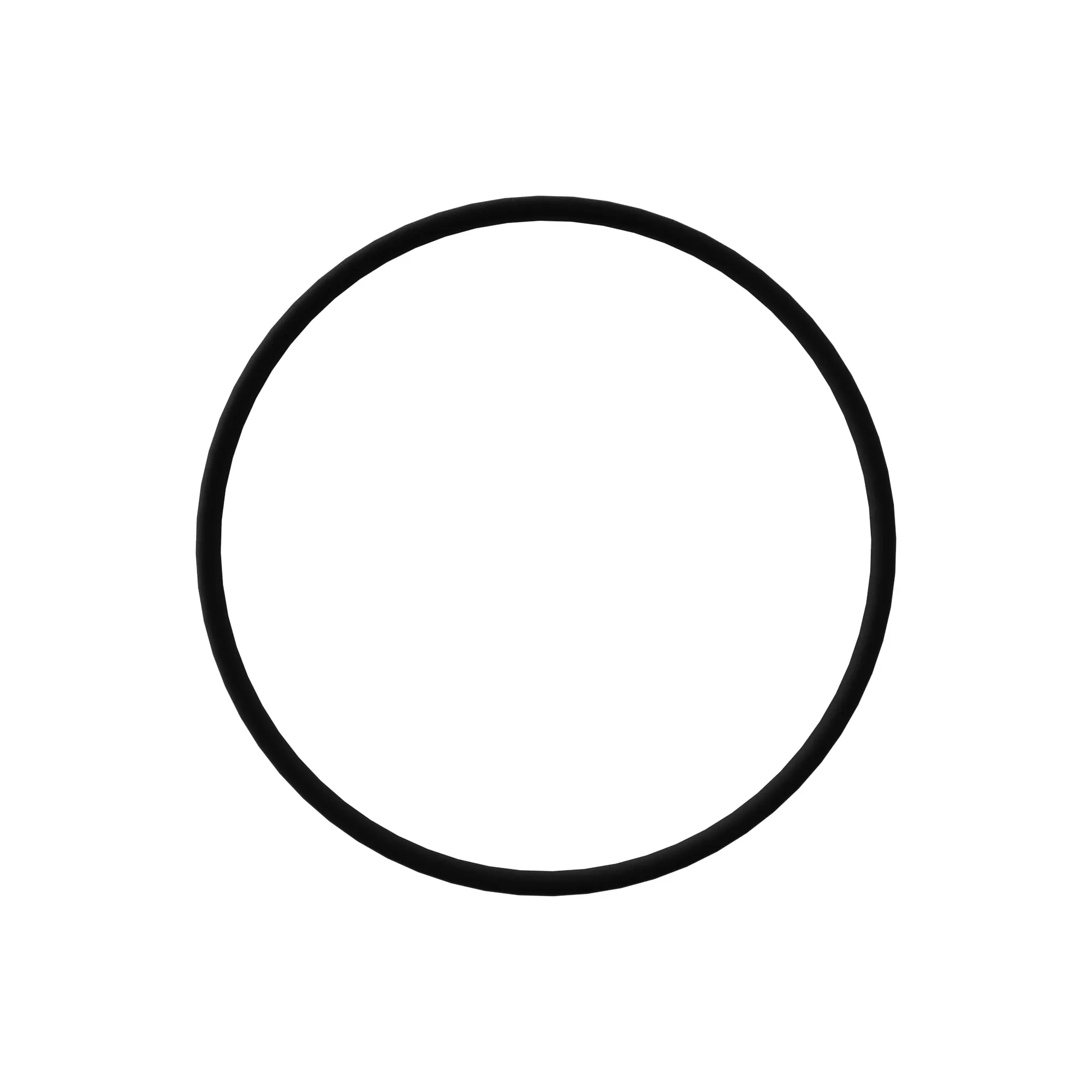 O-Ring