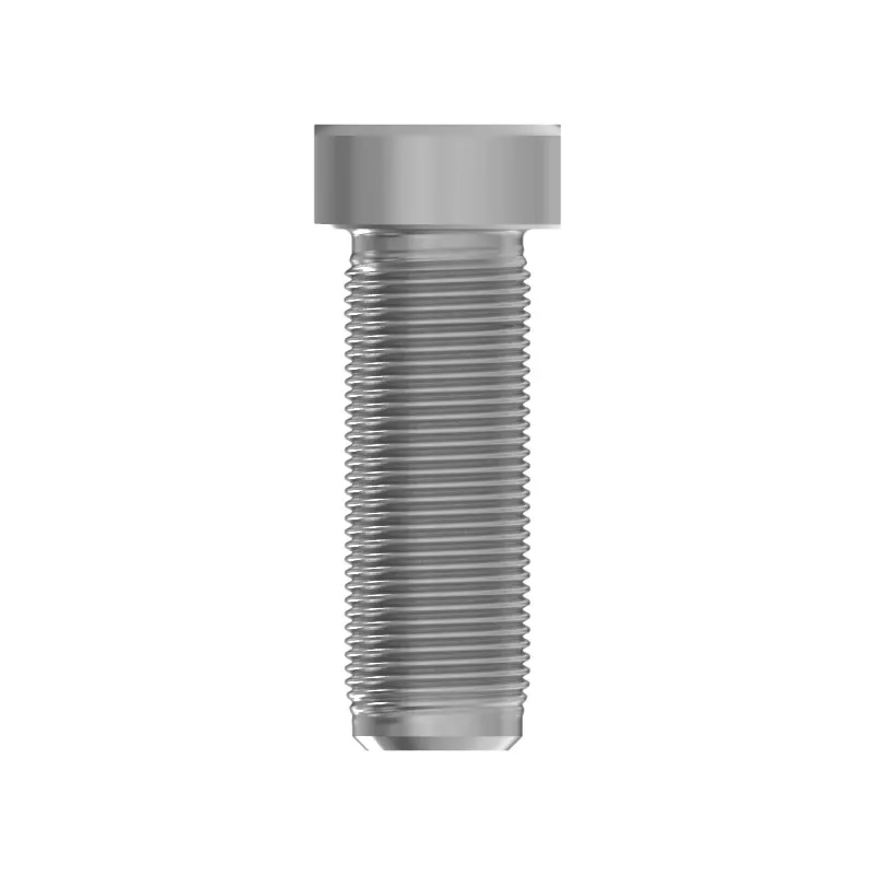 Bolt