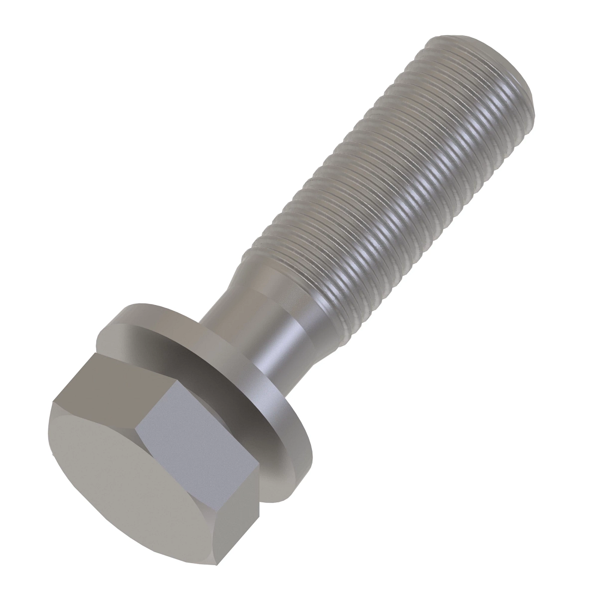 Screw With Washer