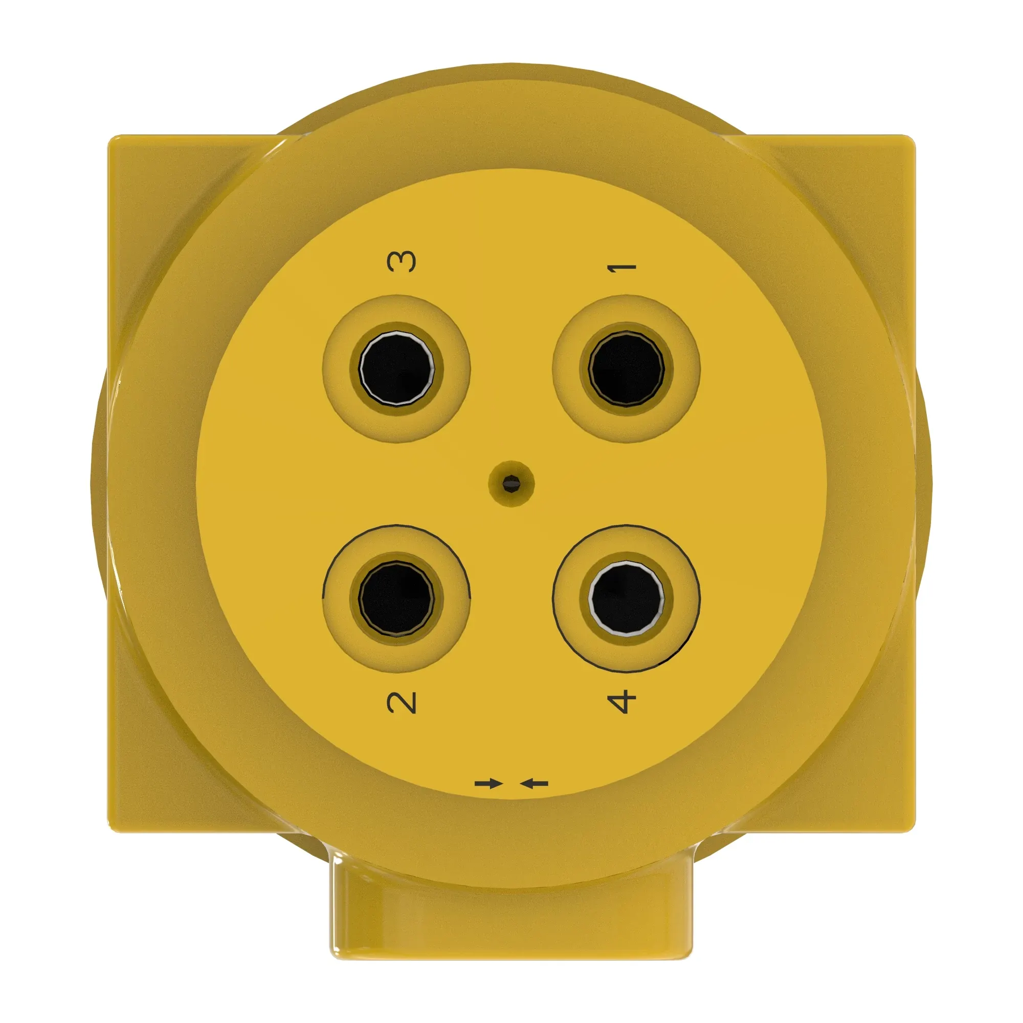 Manifold