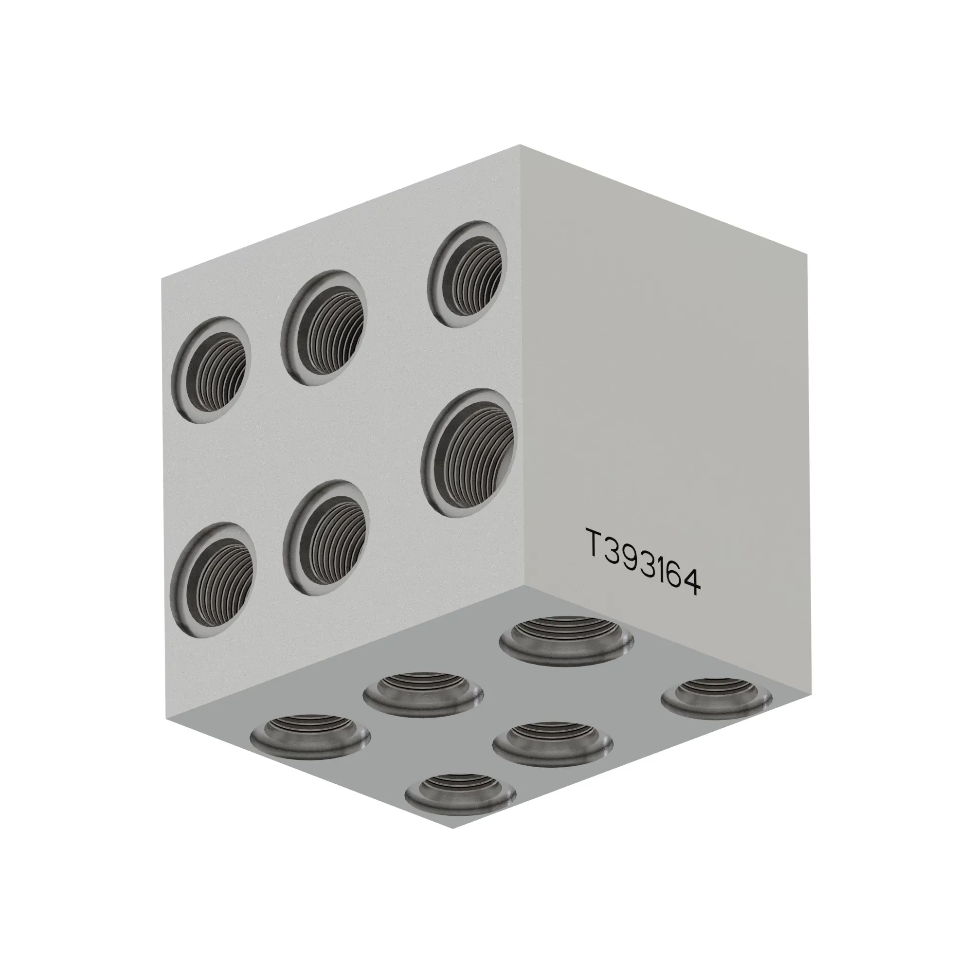 Manifold