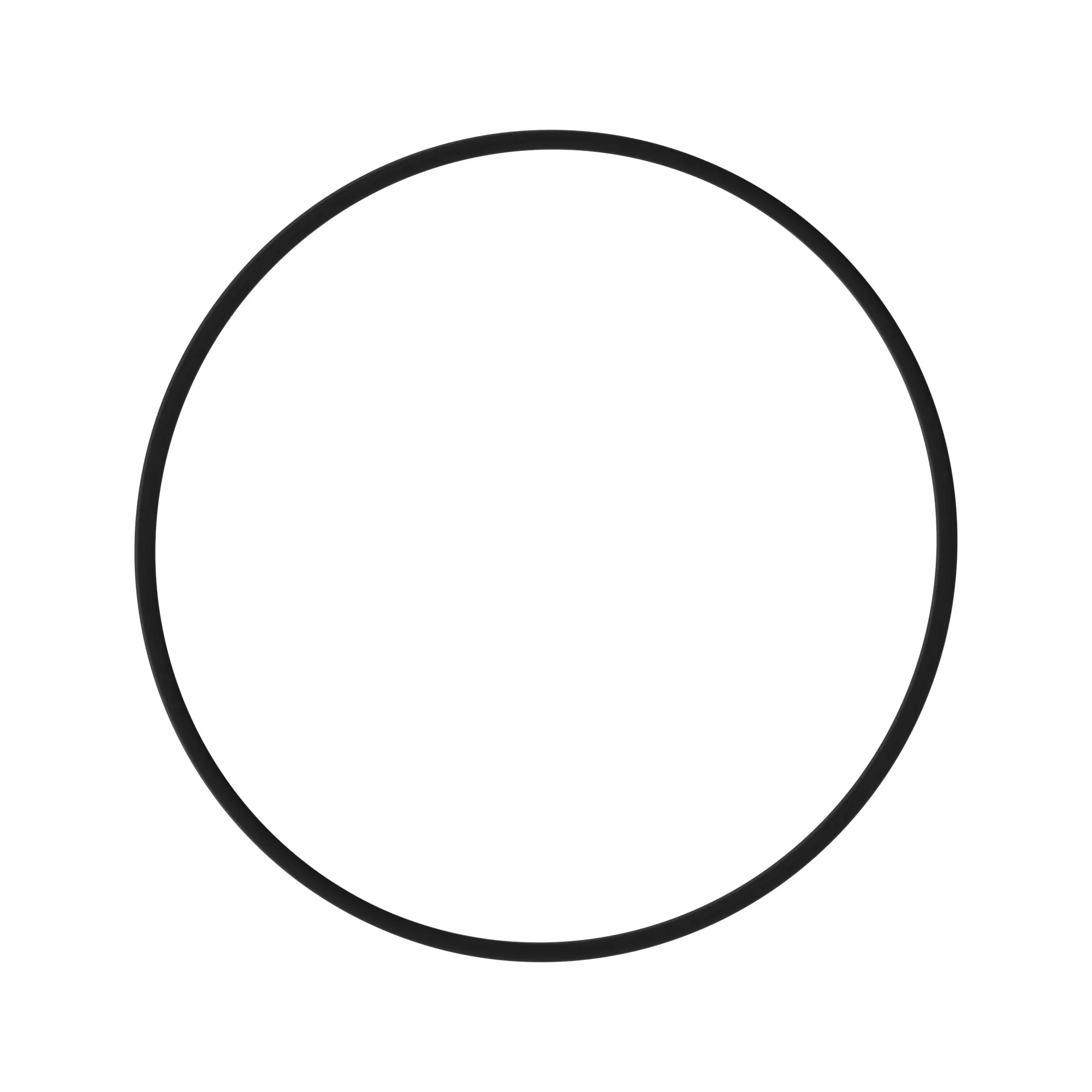 O-RING