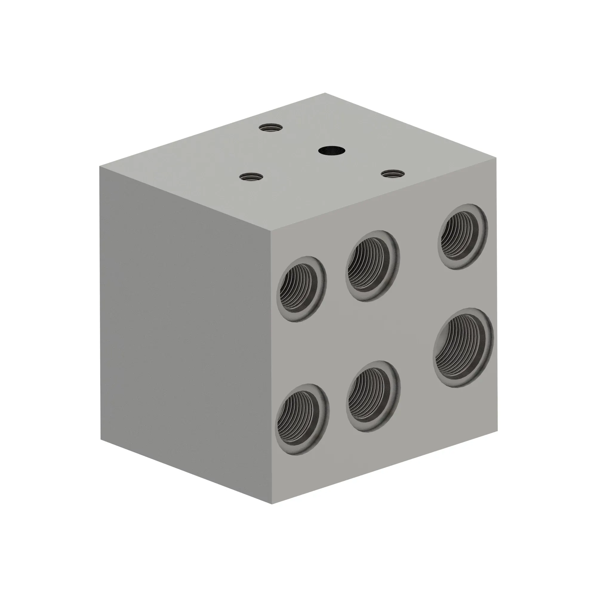 Manifold