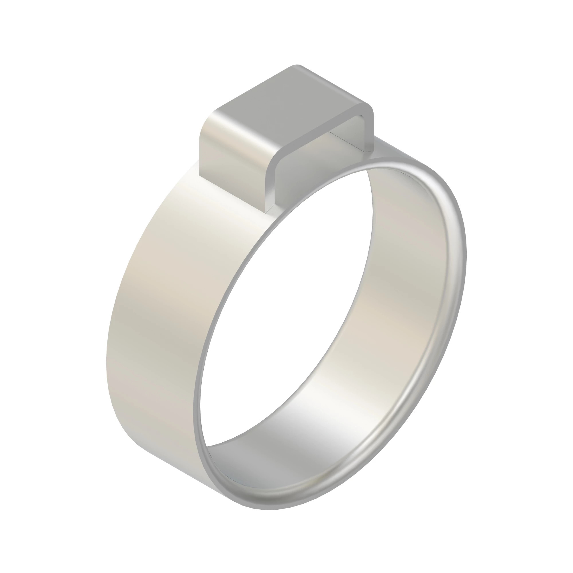 CLAMP, 1-EAR-CLAMP WITH INSERT RING