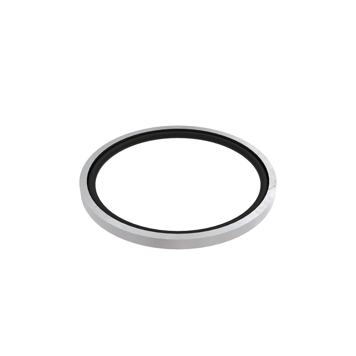 Ring Seal Assembly