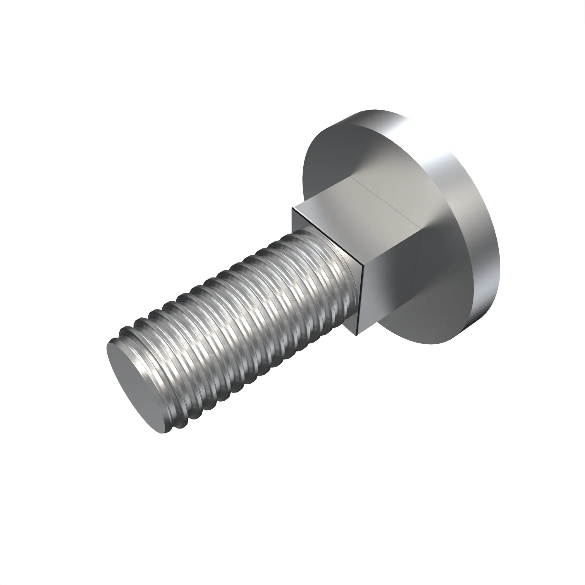 BOLT, RD HD SQ LONG NECK, METRIC