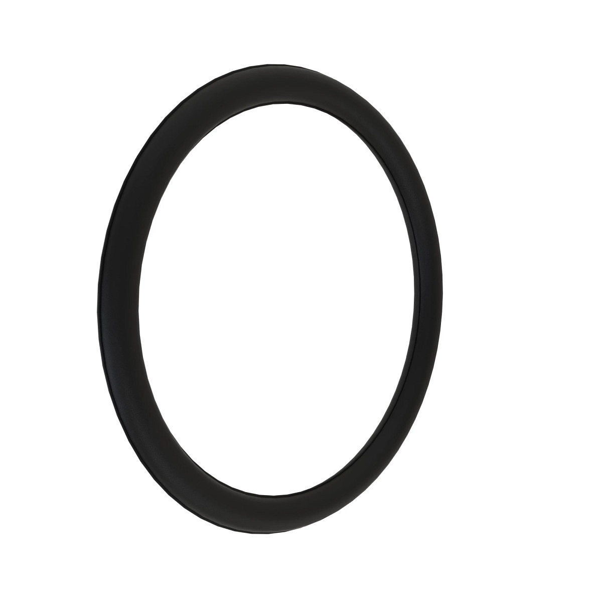 O-Ring, Park Pawl