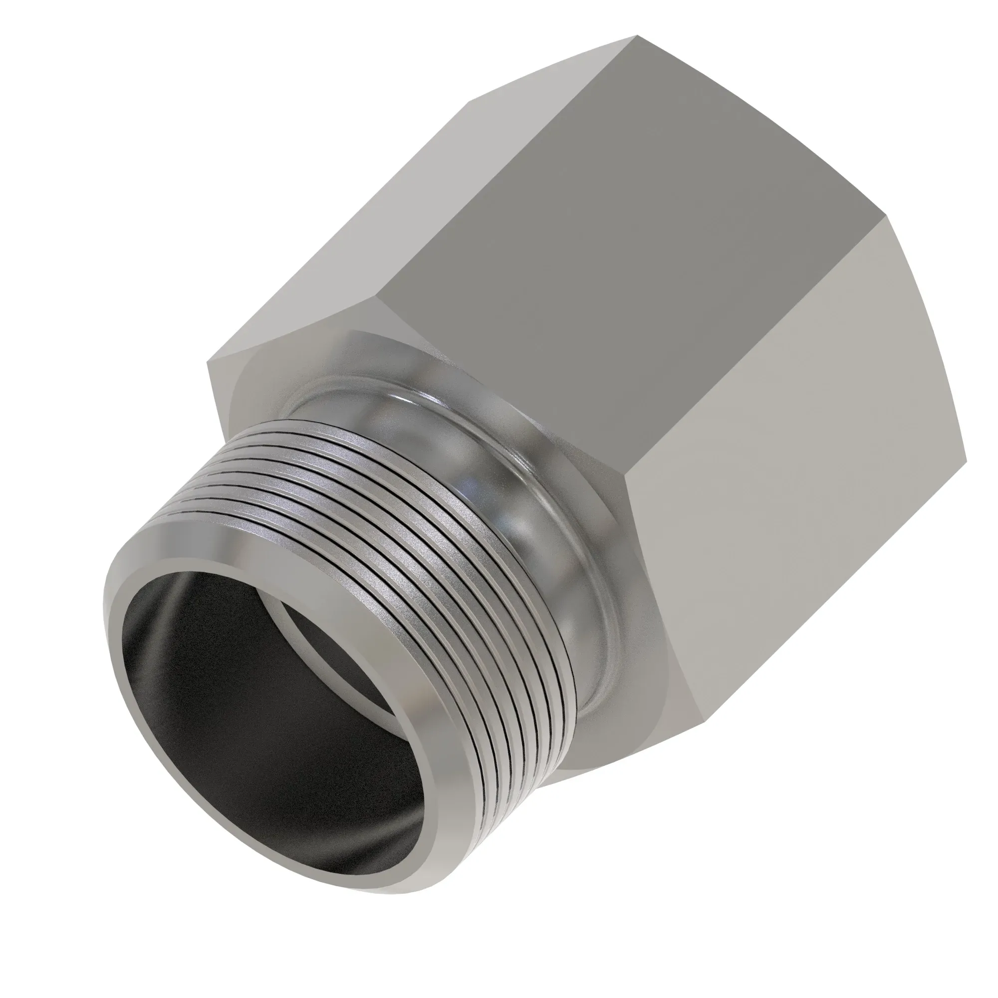 Fitting Plug