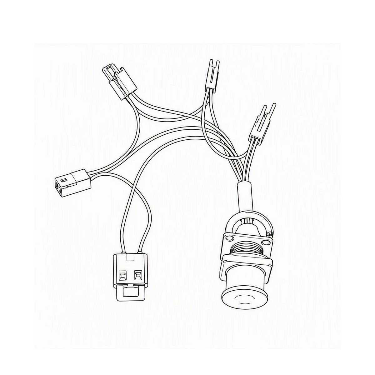 Harness, Wireng