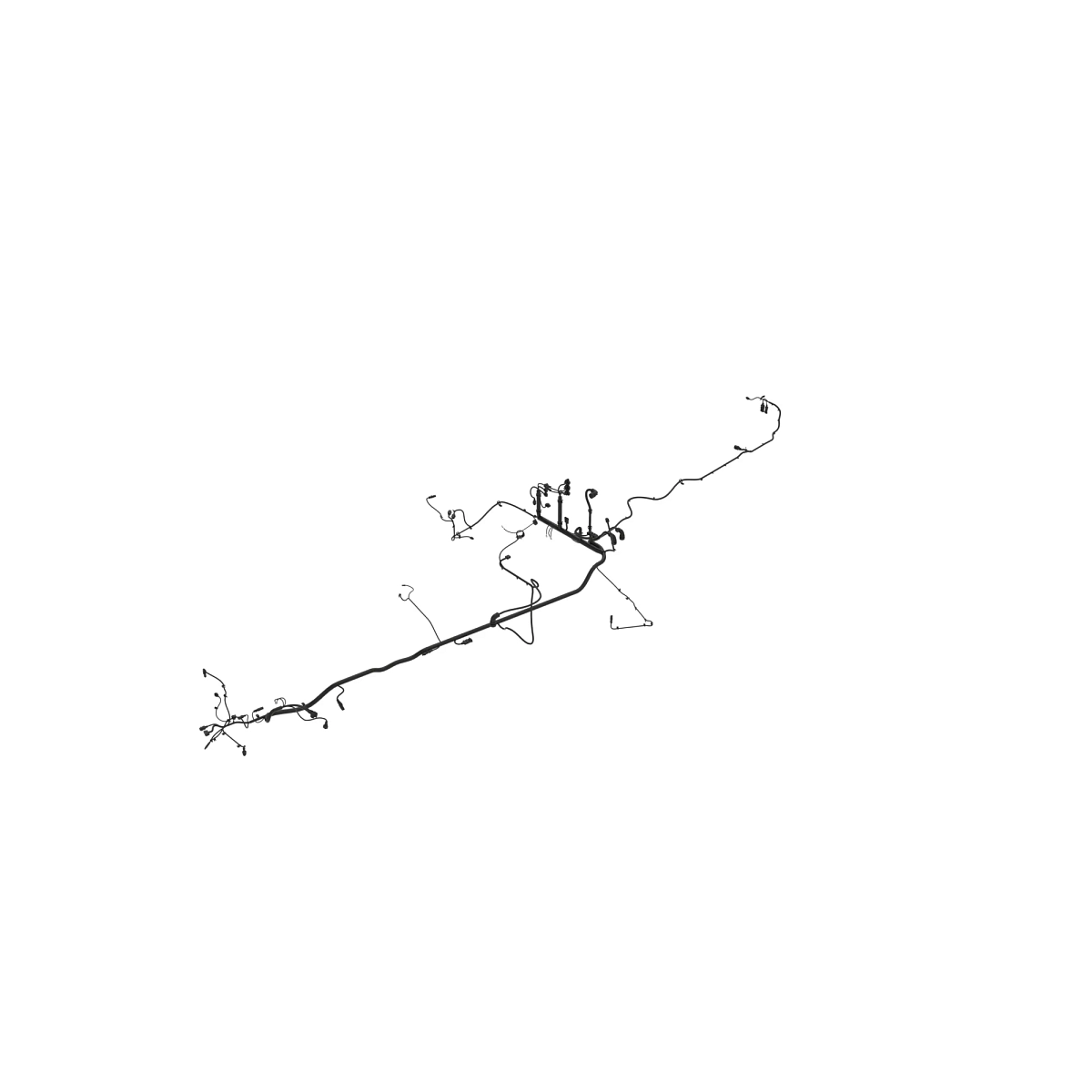 Wiring Harness, Right Main, Sts