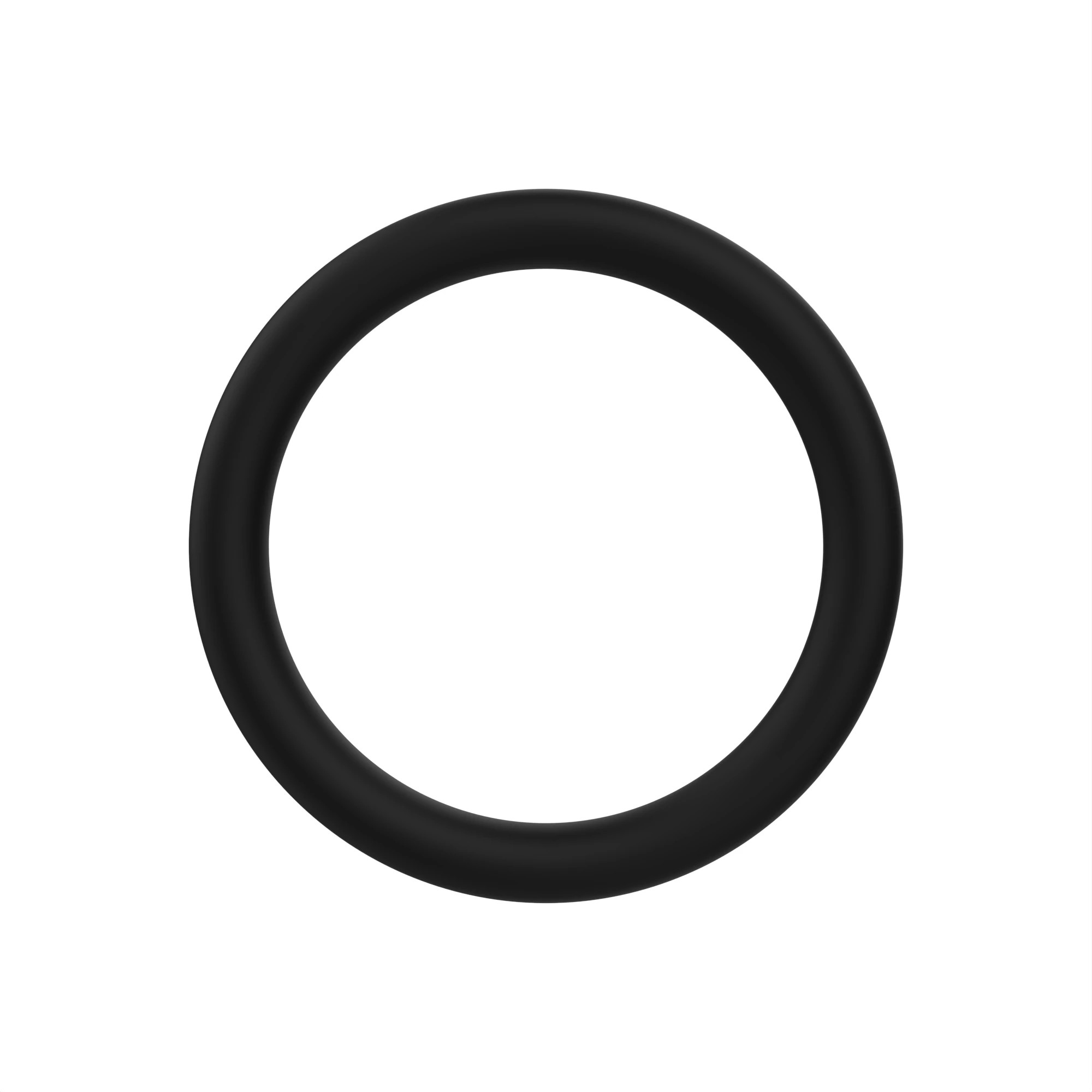 O-RING